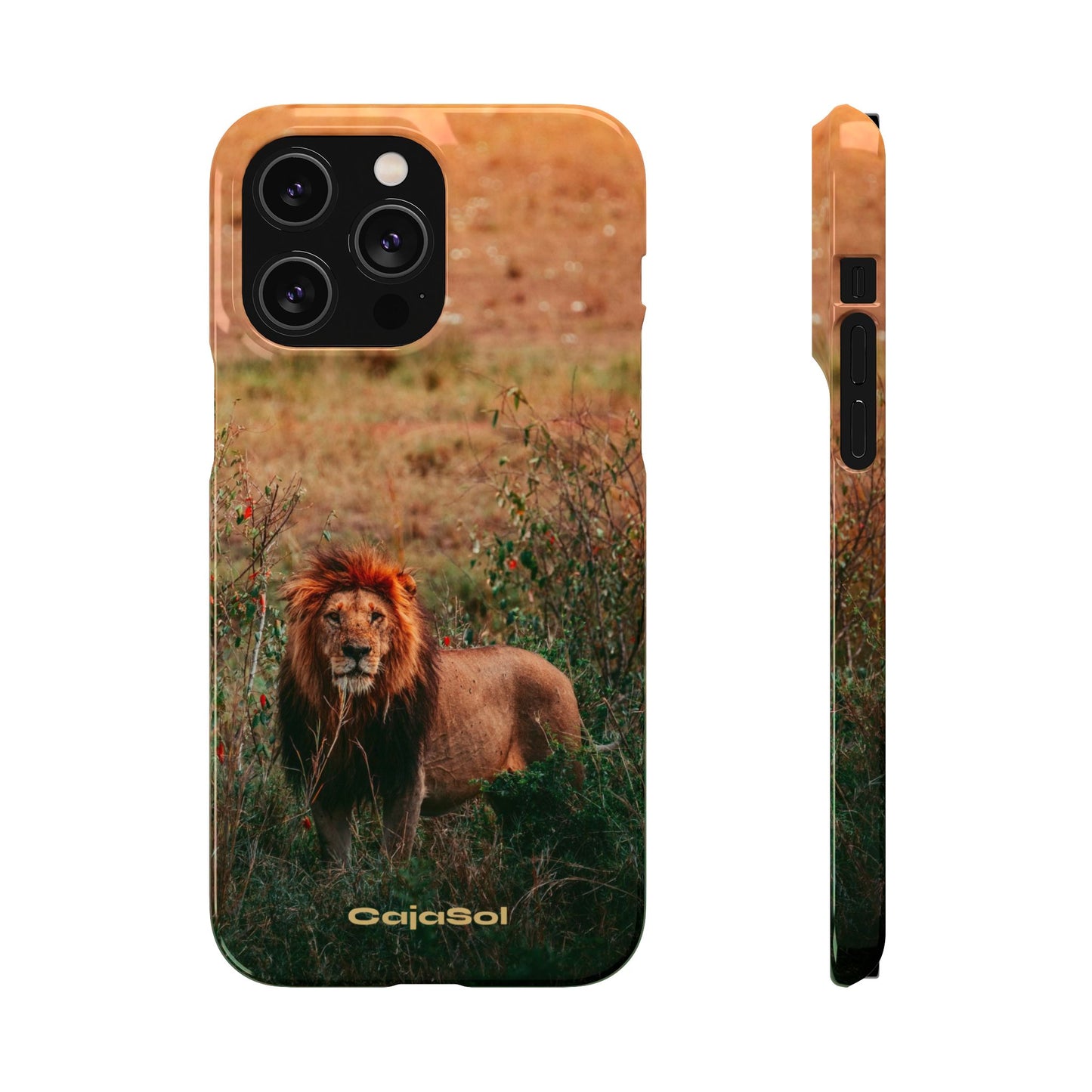 Majestic Lion Cajasol - Nature Inspired
