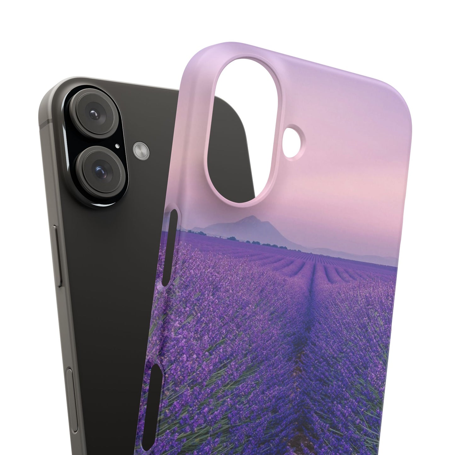 Lavender Fields Cajasol - A Floral Touch for Nature Lovers