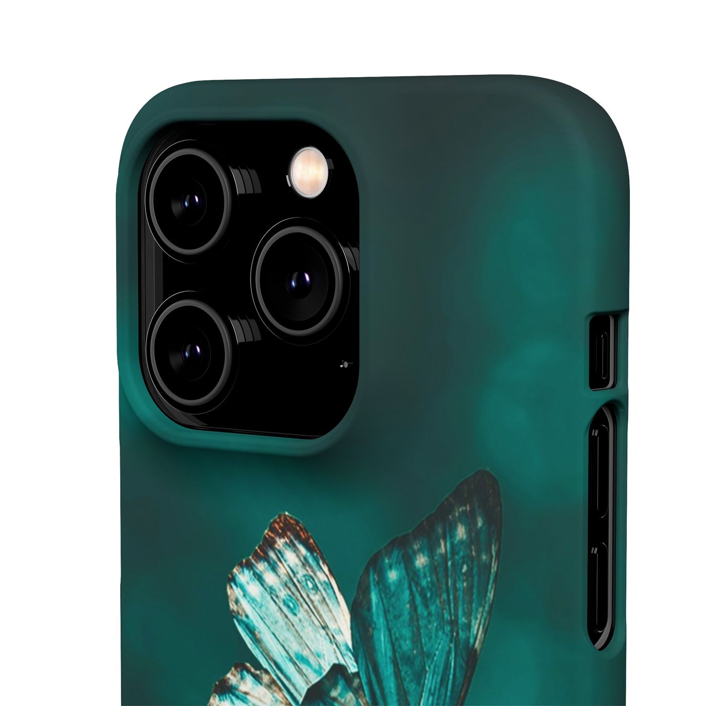 Butterfly Cajasol - Perfect for Nature Lovers