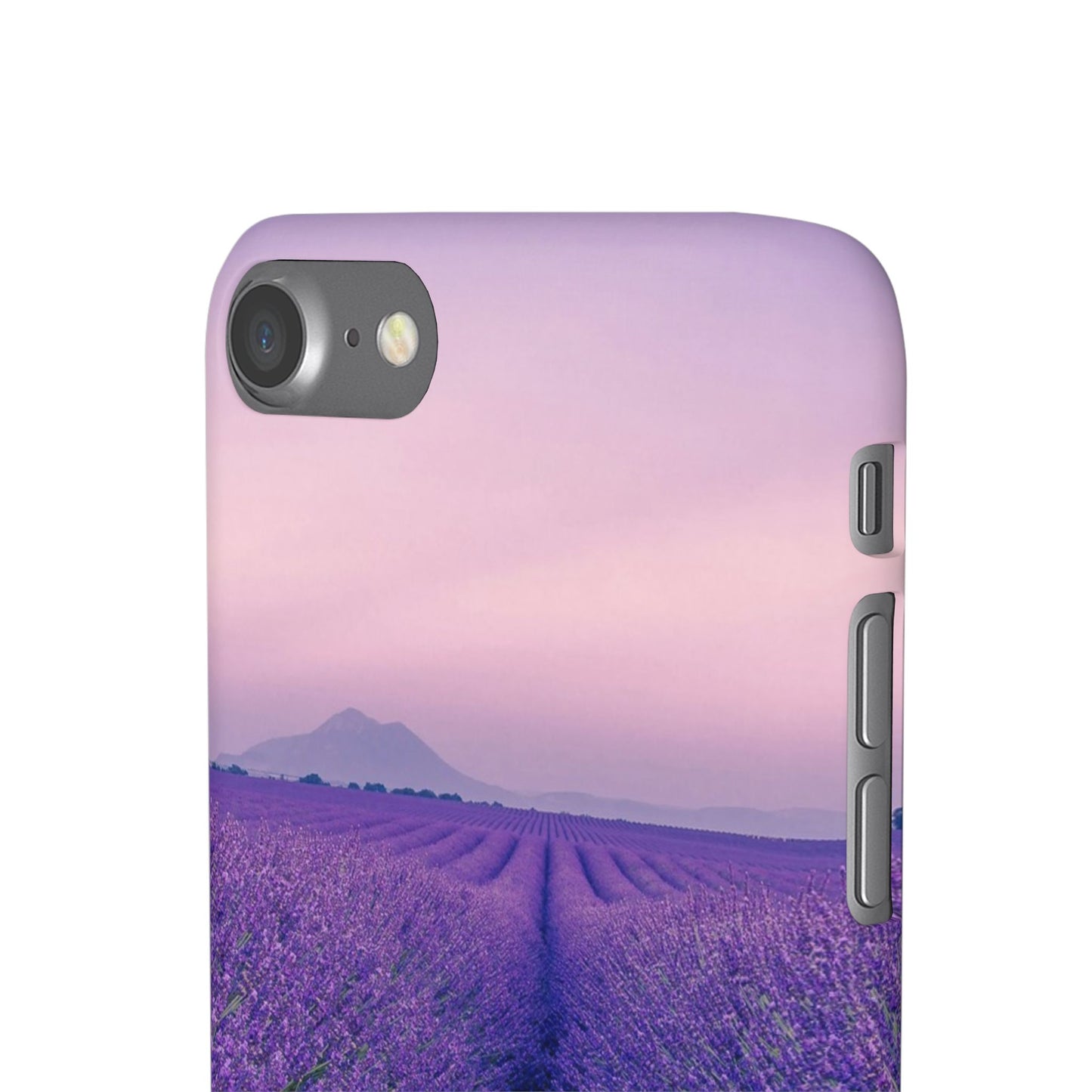 Lavender Fields Cajasol - A Floral Touch for Nature Lovers