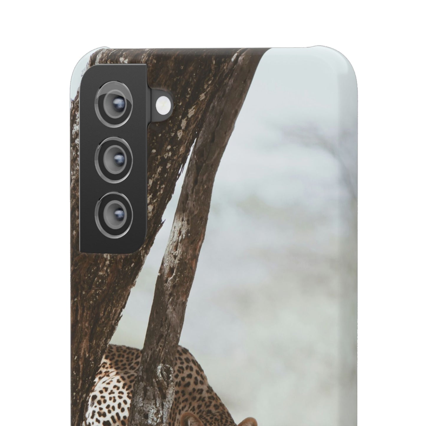 Leopard Cajasol - Wildlife Vibes