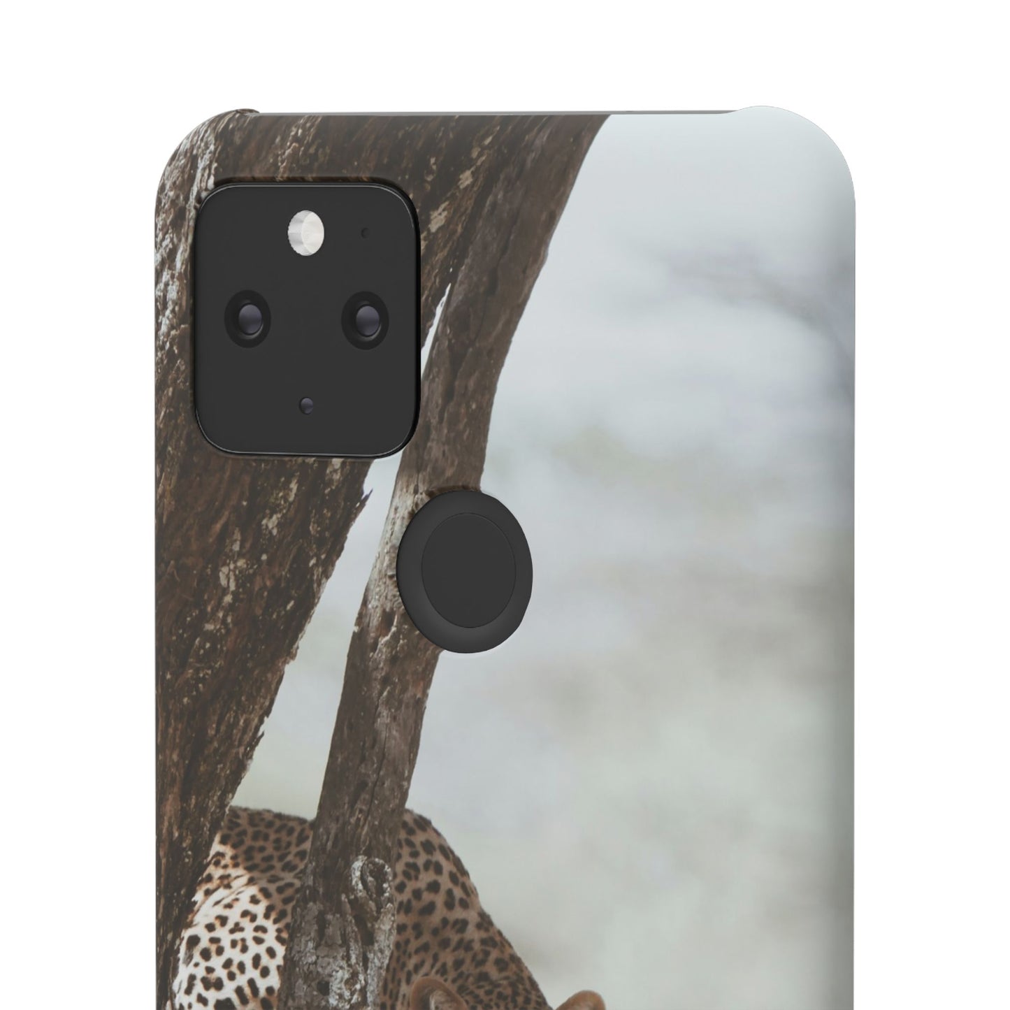 Leopard Cajasol - Wildlife Vibes
