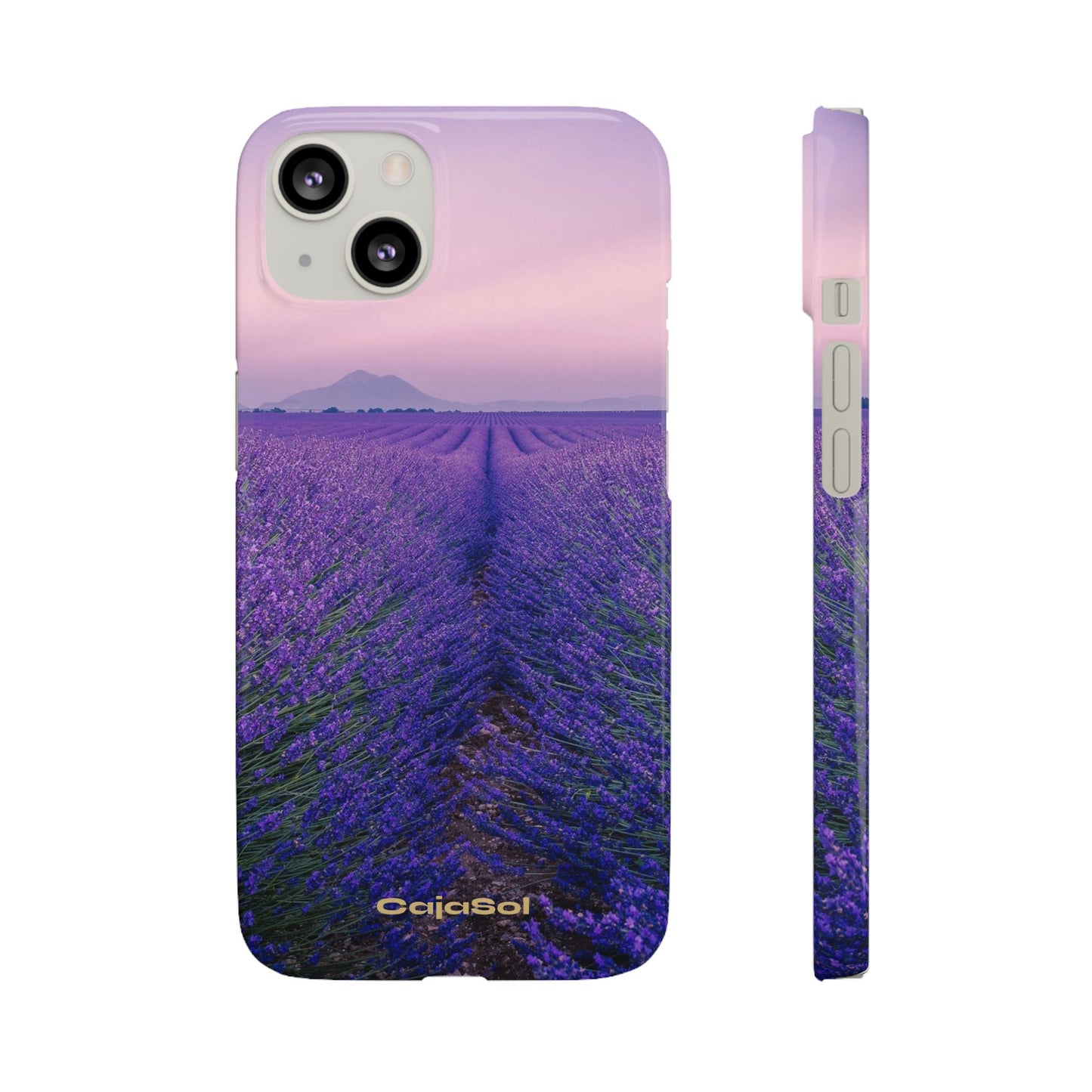 Lavender Fields Cajasol - A Floral Touch for Nature Lovers