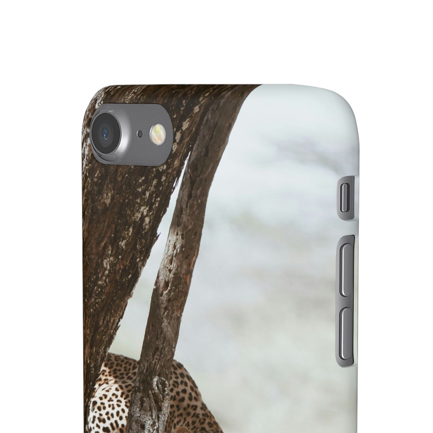 Leopard Cajasol - Wildlife Vibes