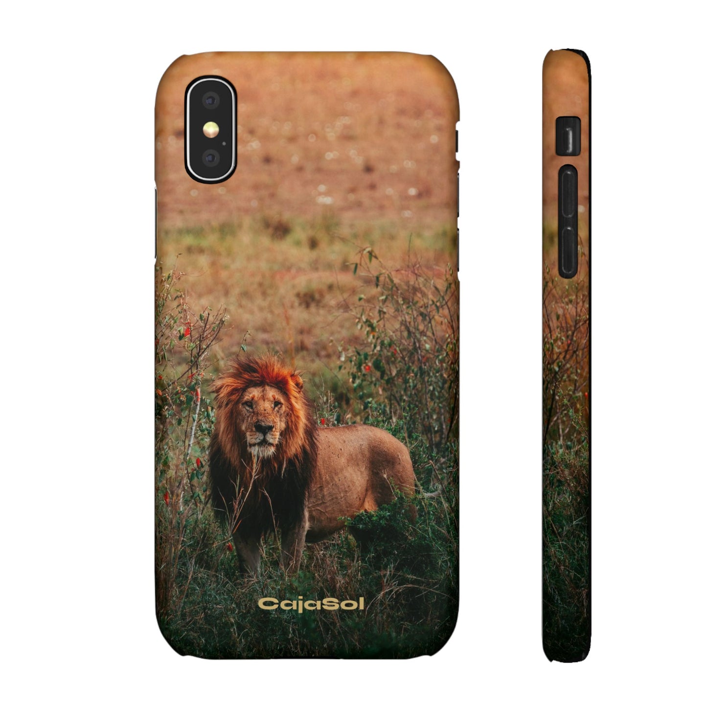 Majestic Lion Cajasol - Nature Inspired