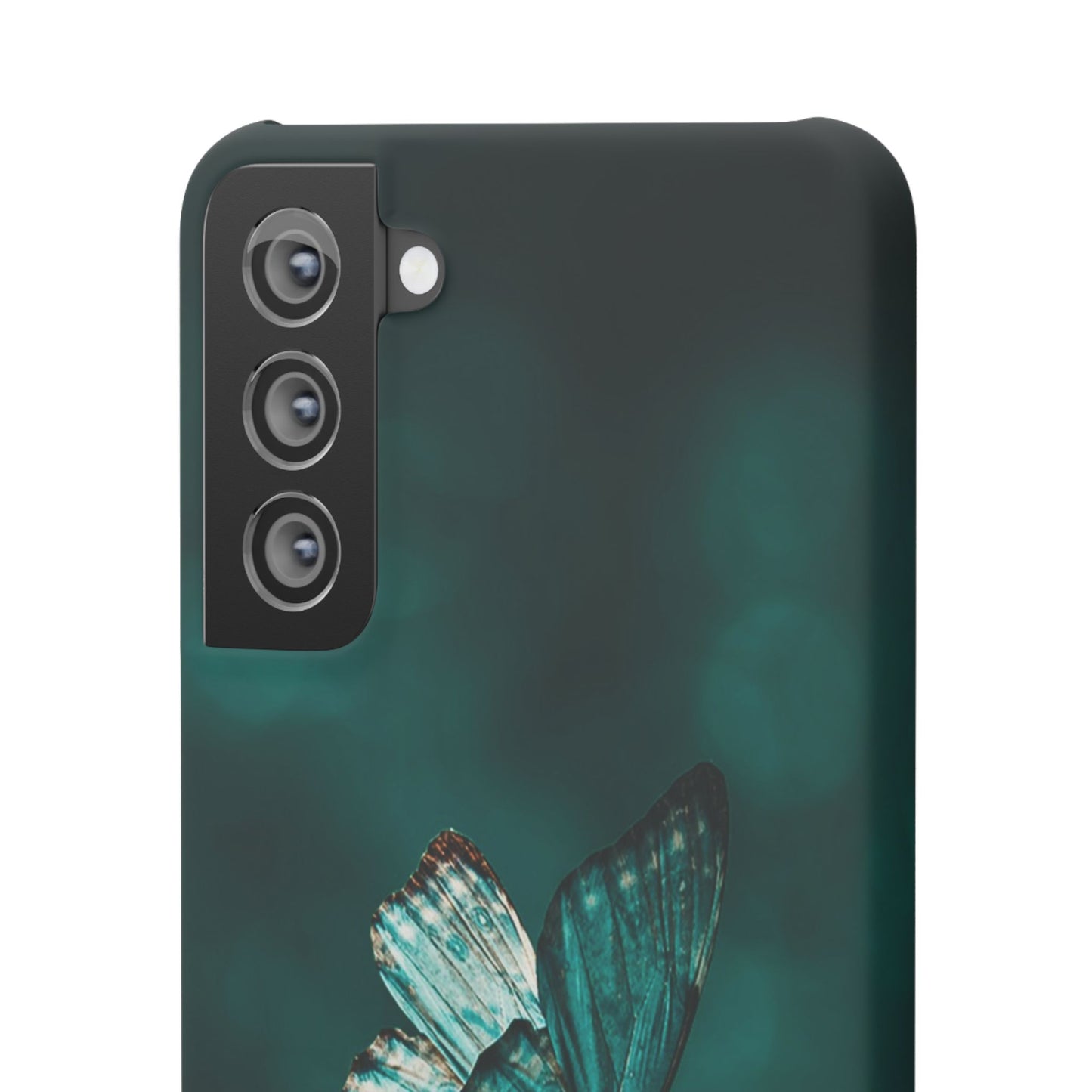 Butterfly Cajasol - Perfect for Nature Lovers