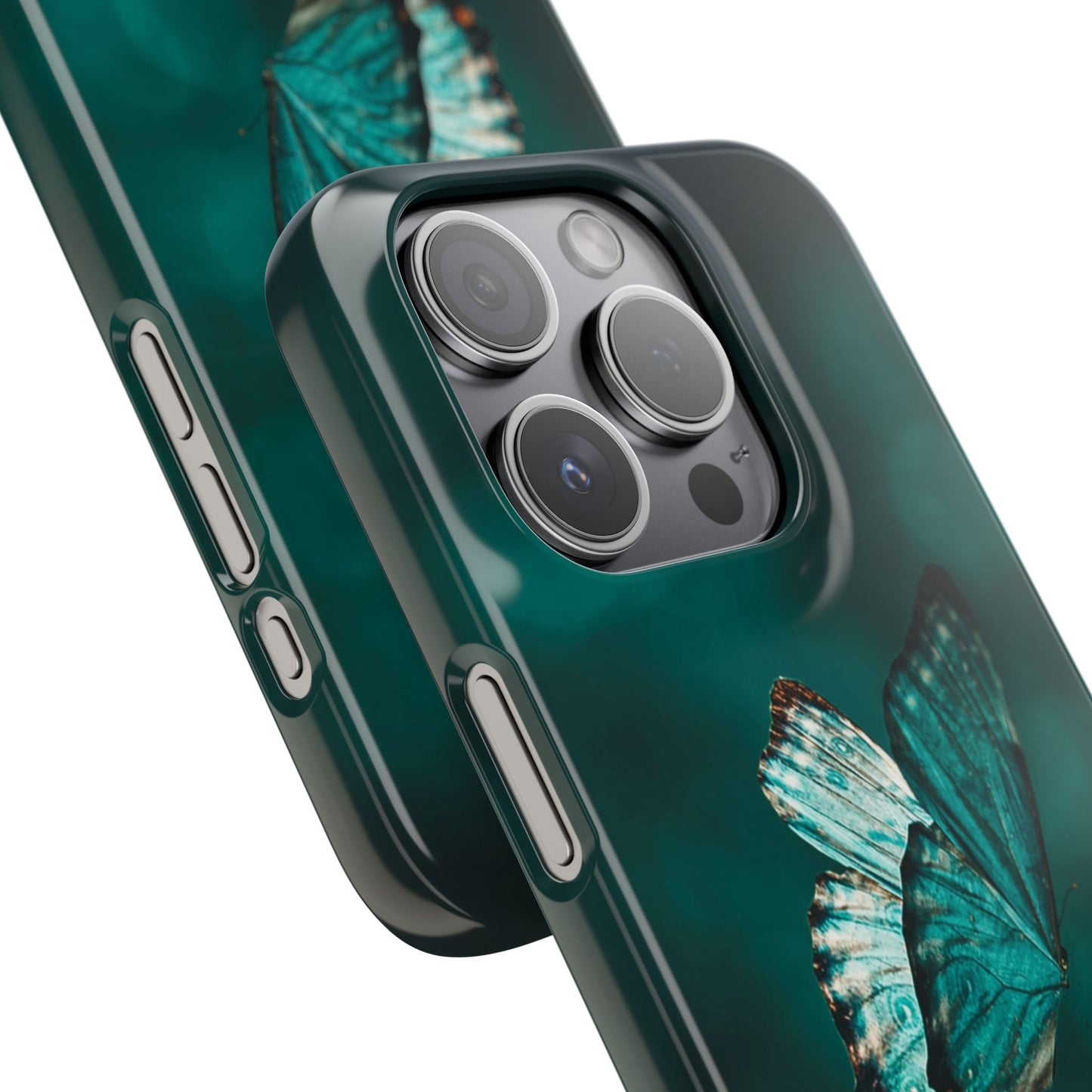 Butterfly Cajasol - Perfect for Nature Lovers