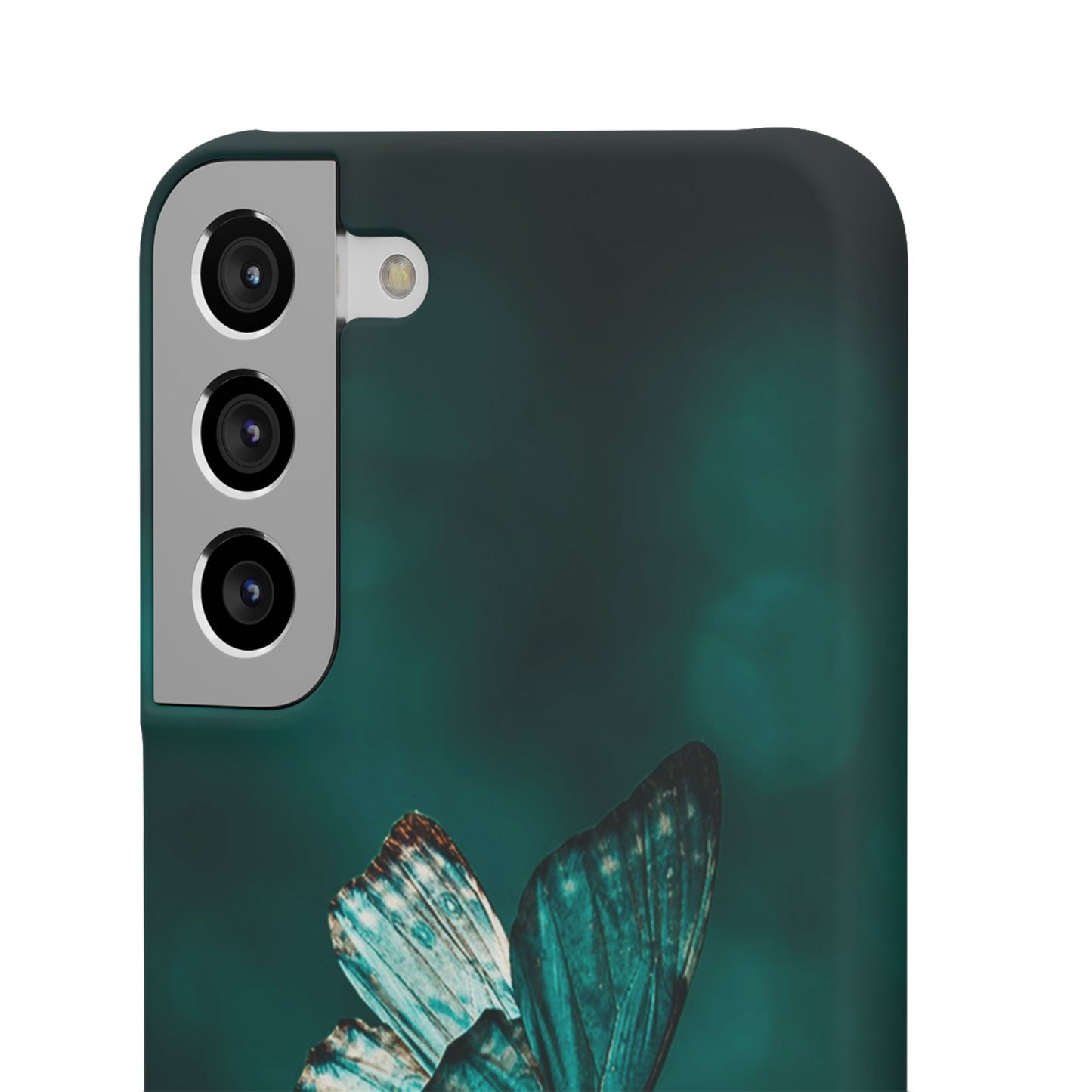 Butterfly Cajasol - Perfect for Nature Lovers
