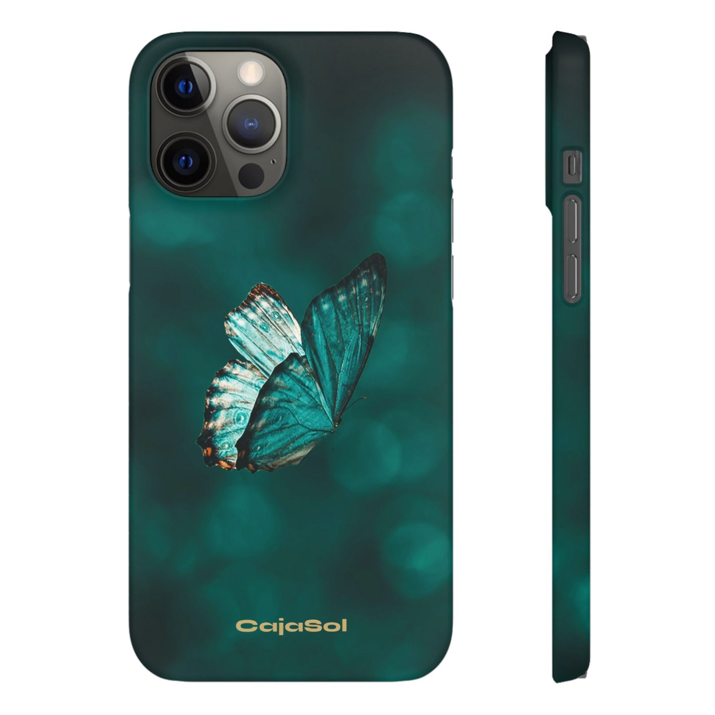 Butterfly Cajasol - Perfect for Nature Lovers