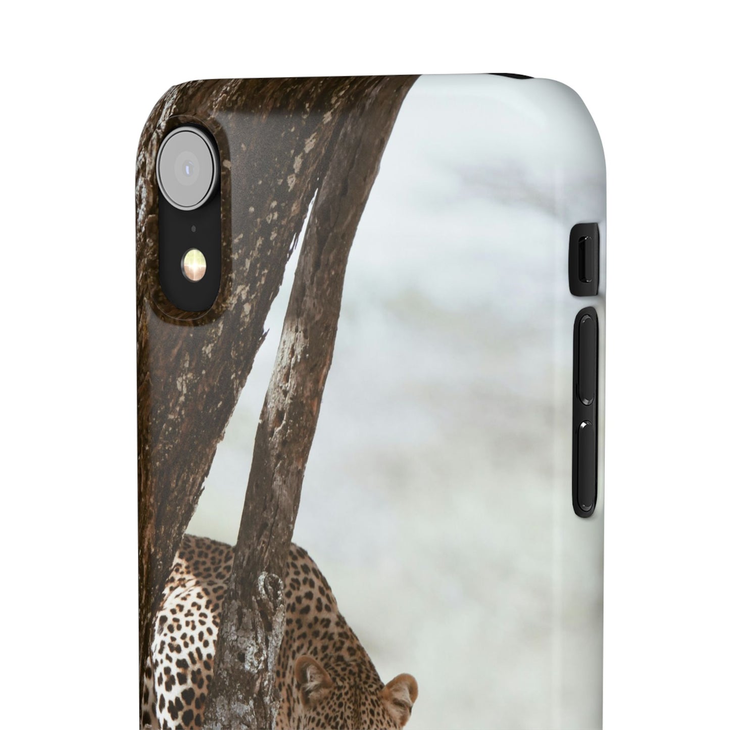 Leopard Cajasol - Wildlife Vibes