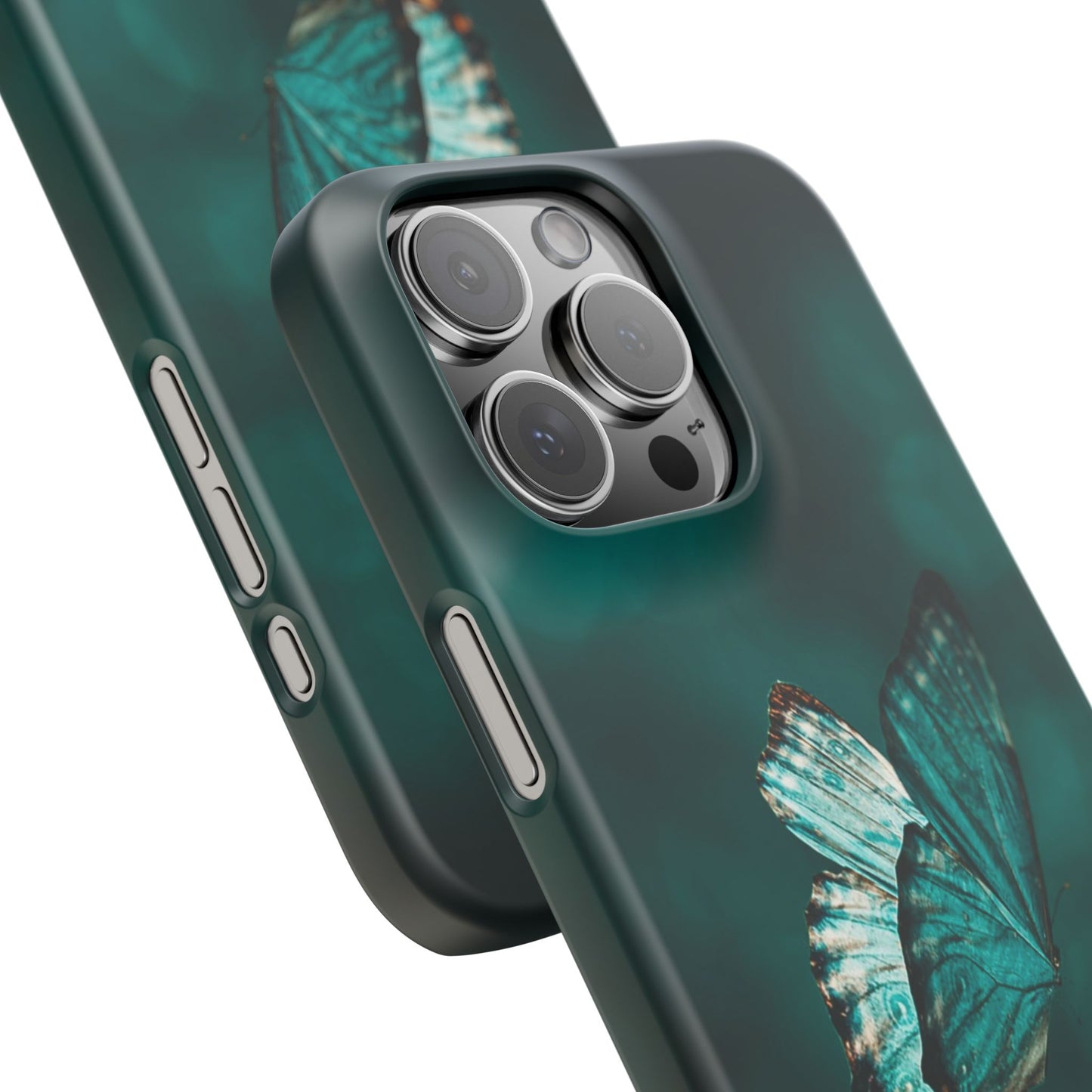 Butterfly Cajasol - Perfect for Nature Lovers