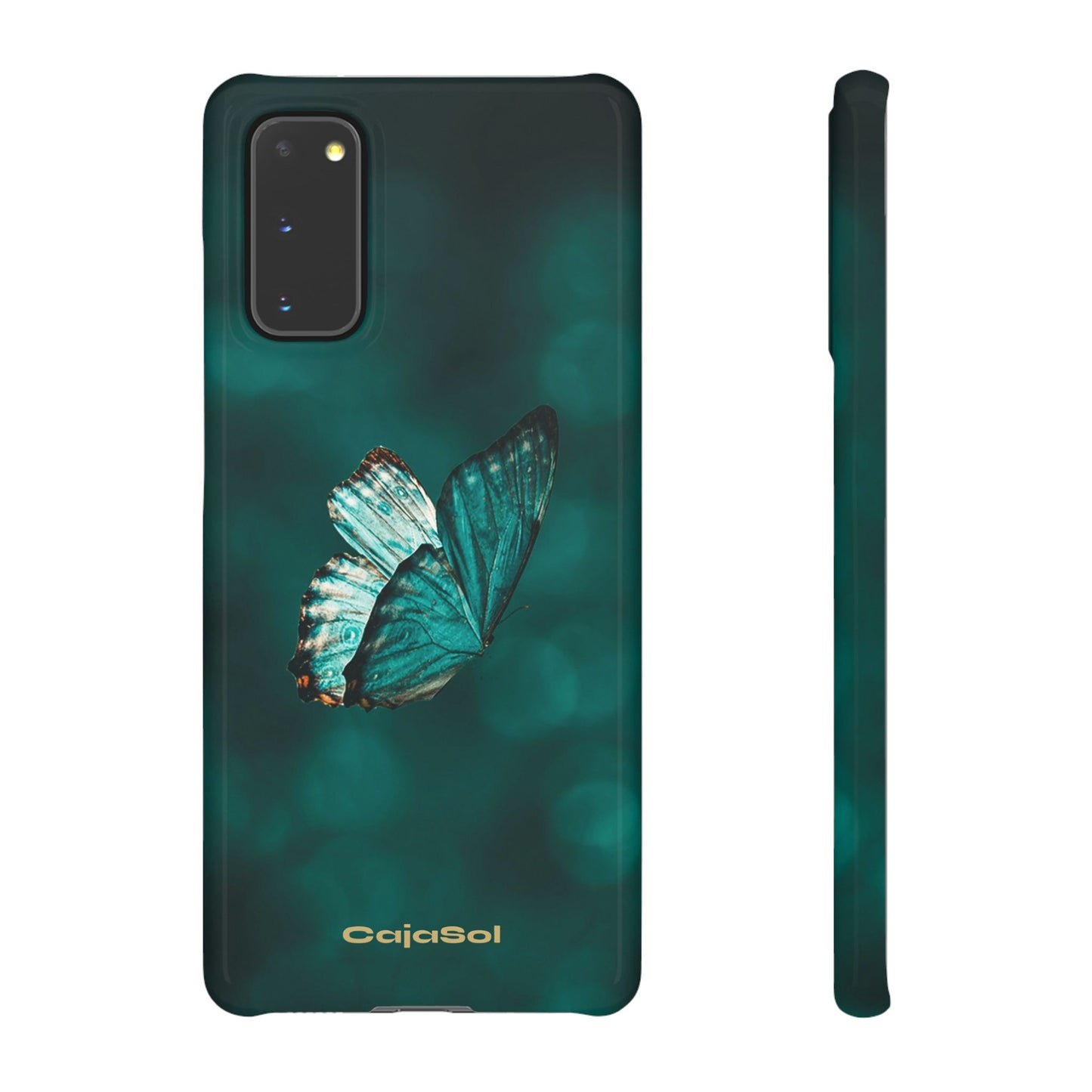 Butterfly Cajasol - Perfect for Nature Lovers