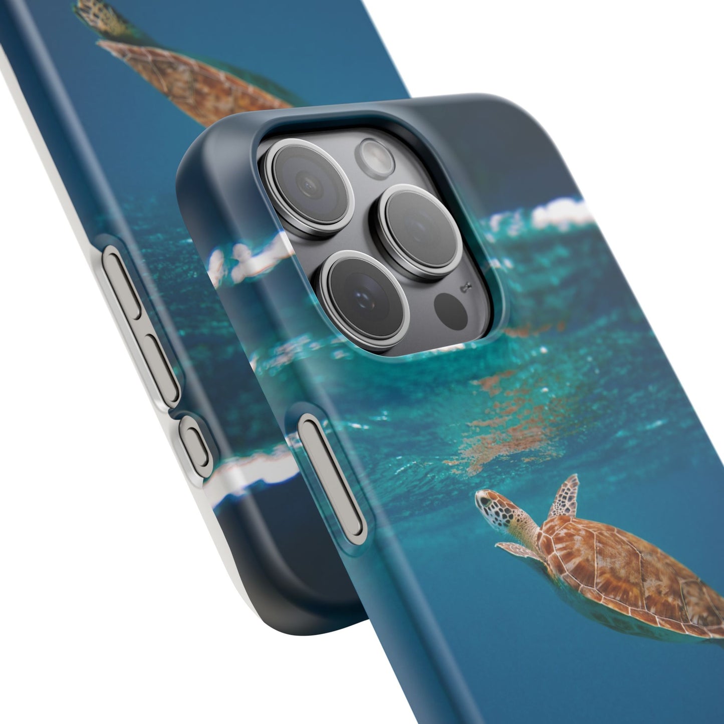 Sea Turtle Cajasol - Perfect for Beach Lovers
