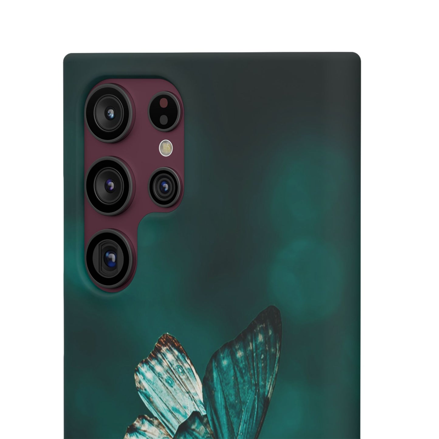 Butterfly Cajasol - Perfect for Nature Lovers