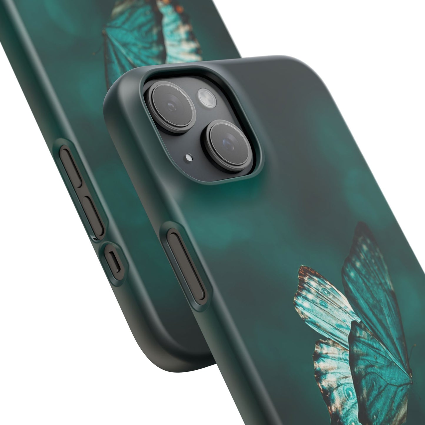 Butterfly Cajasol - Perfect for Nature Lovers