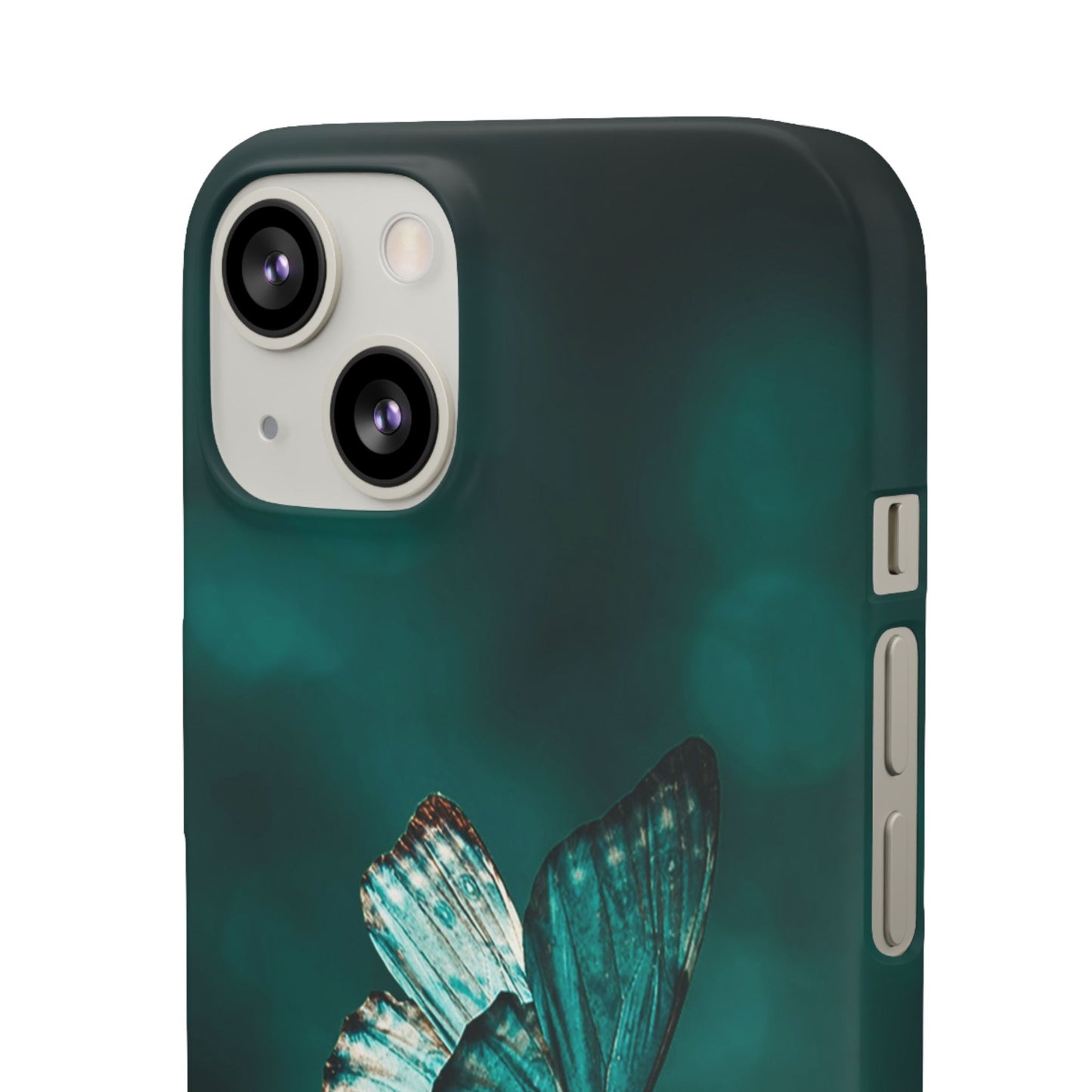 Butterfly Cajasol - Perfect for Nature Lovers