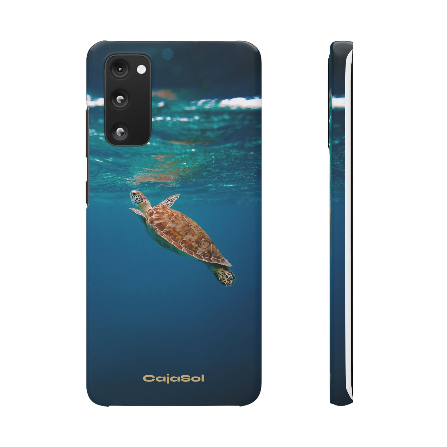 Sea Turtle Cajasol - Perfect for Beach Lovers