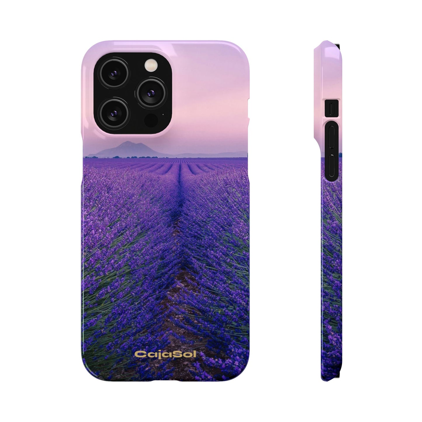 Lavender Fields Cajasol - A Floral Touch for Nature Lovers