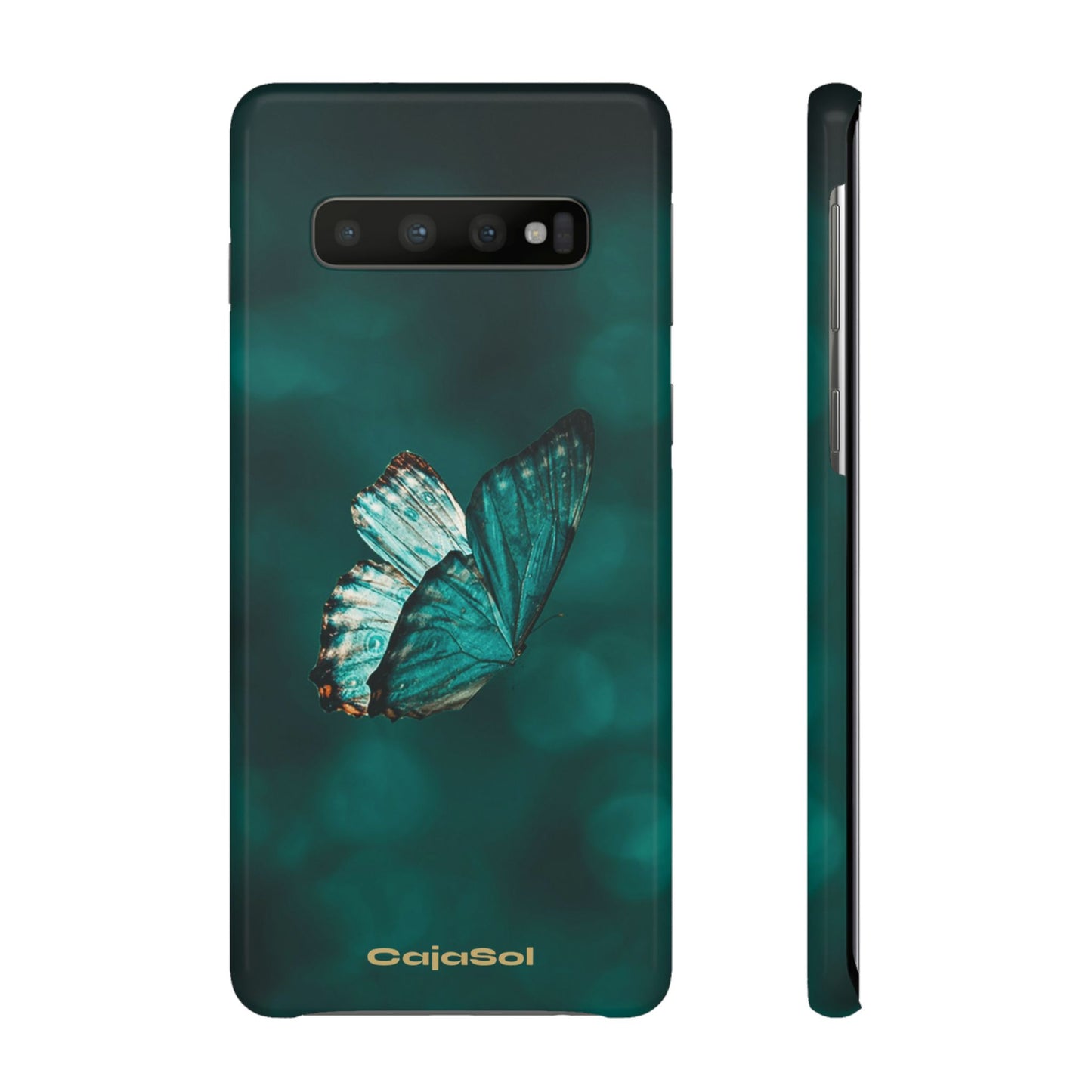 Butterfly Cajasol - Perfect for Nature Lovers