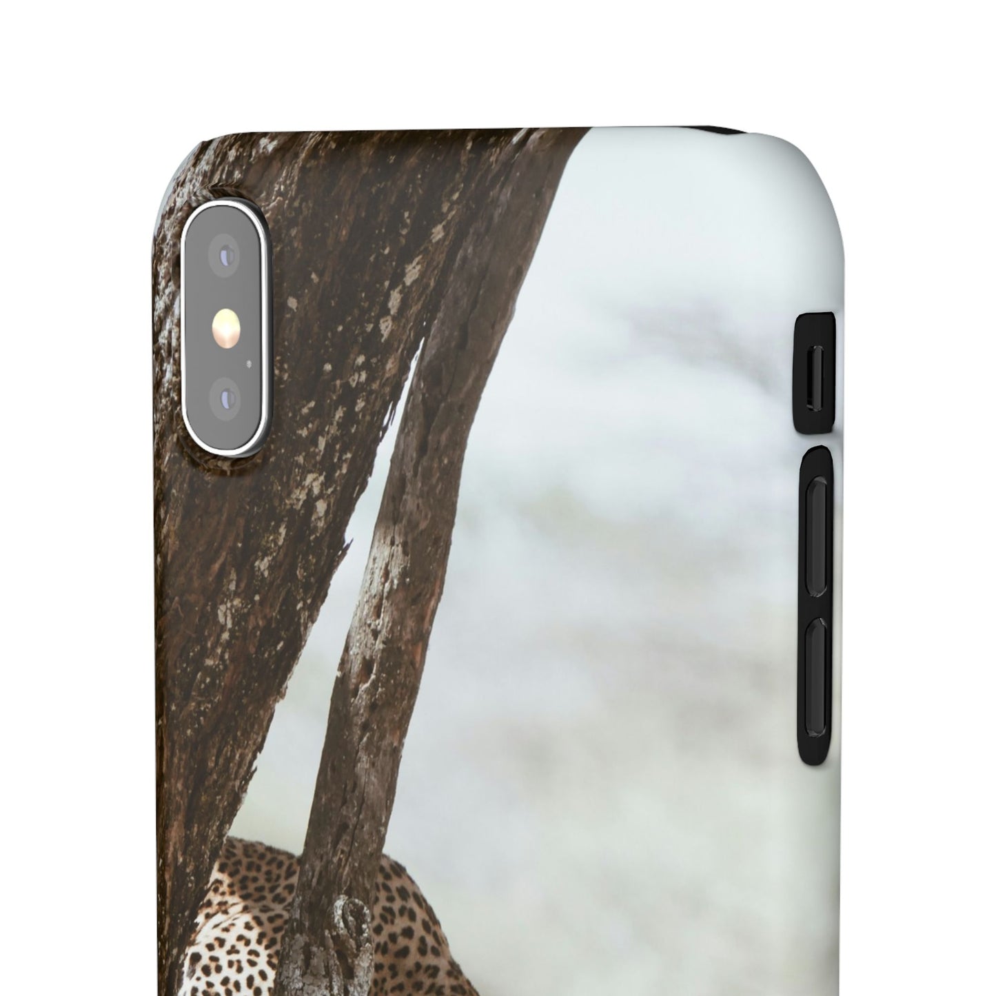 Leopard Cajasol - Wildlife Vibes