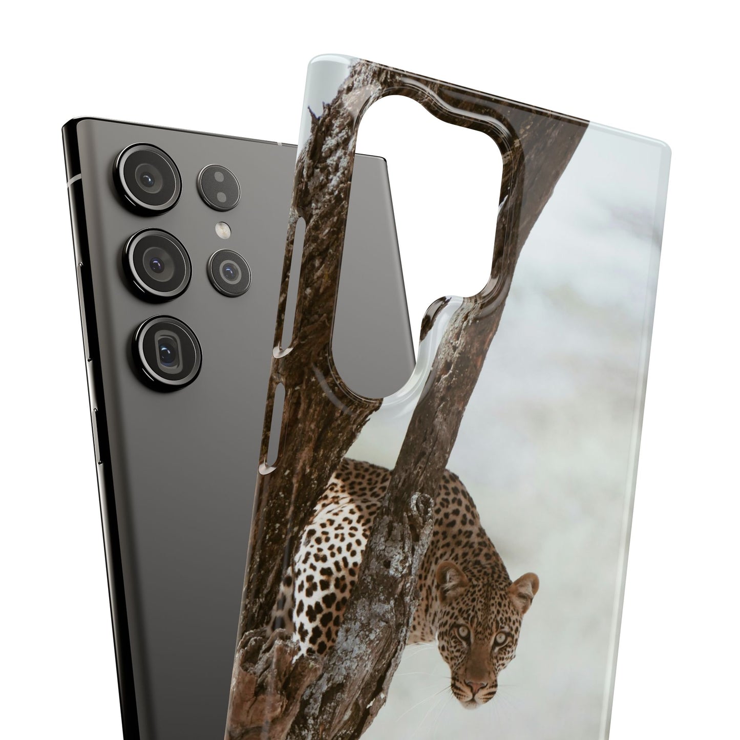 Leopard Cajasol - Wildlife Vibes