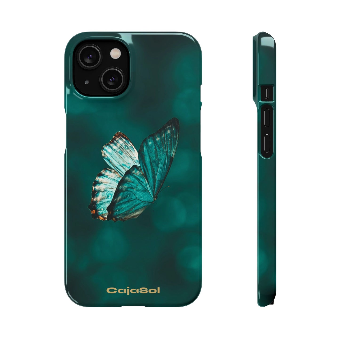 Butterfly Cajasol - Perfect for Nature Lovers