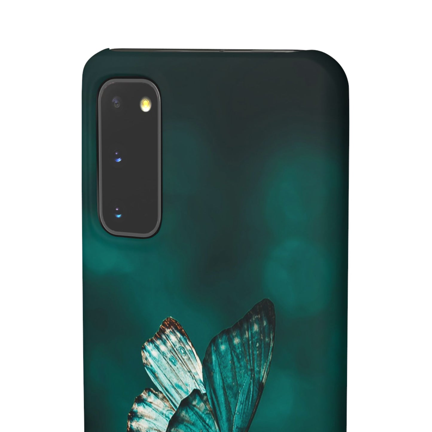 Butterfly Cajasol - Perfect for Nature Lovers