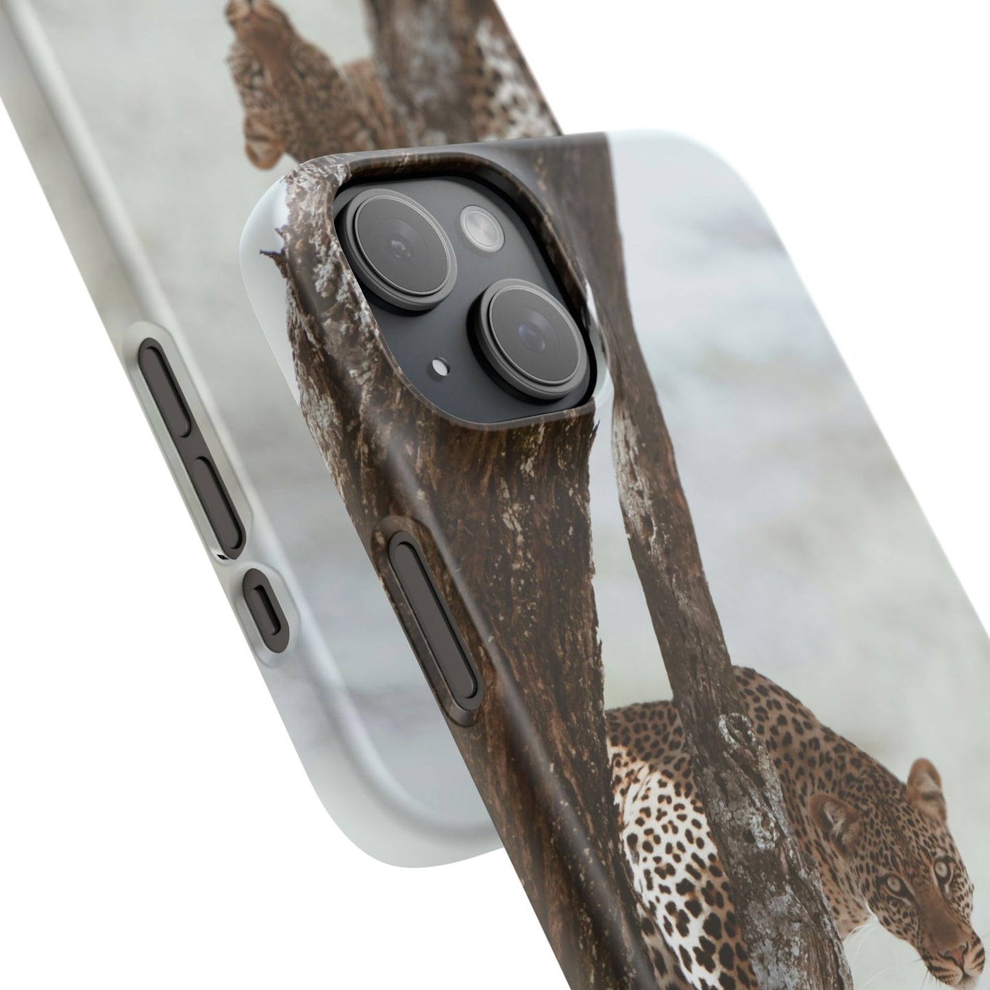 Leopard Cajasol - Wildlife Vibes