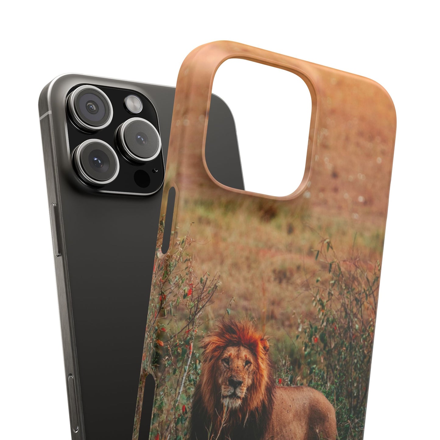 Majestic Lion Cajasol - Nature Inspired