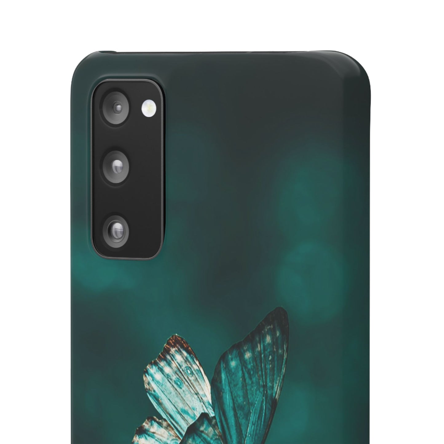 Butterfly Cajasol - Perfect for Nature Lovers
