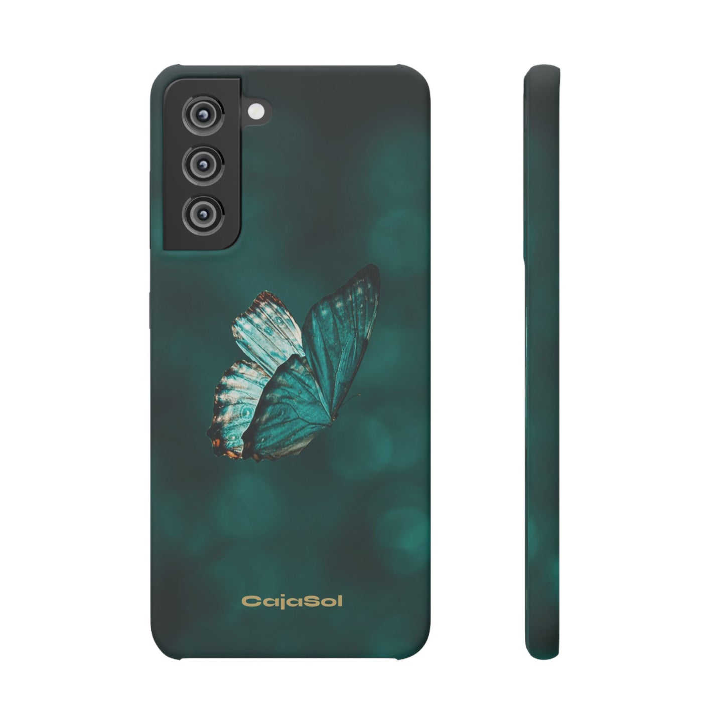 Butterfly Cajasol - Perfect for Nature Lovers