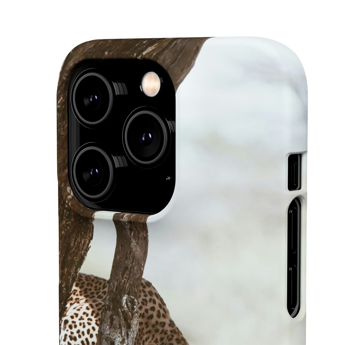 Leopard Cajasol - Wildlife Vibes