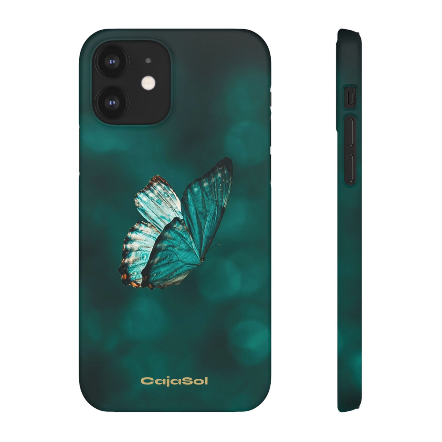 Butterfly Cajasol - Perfect for Nature Lovers