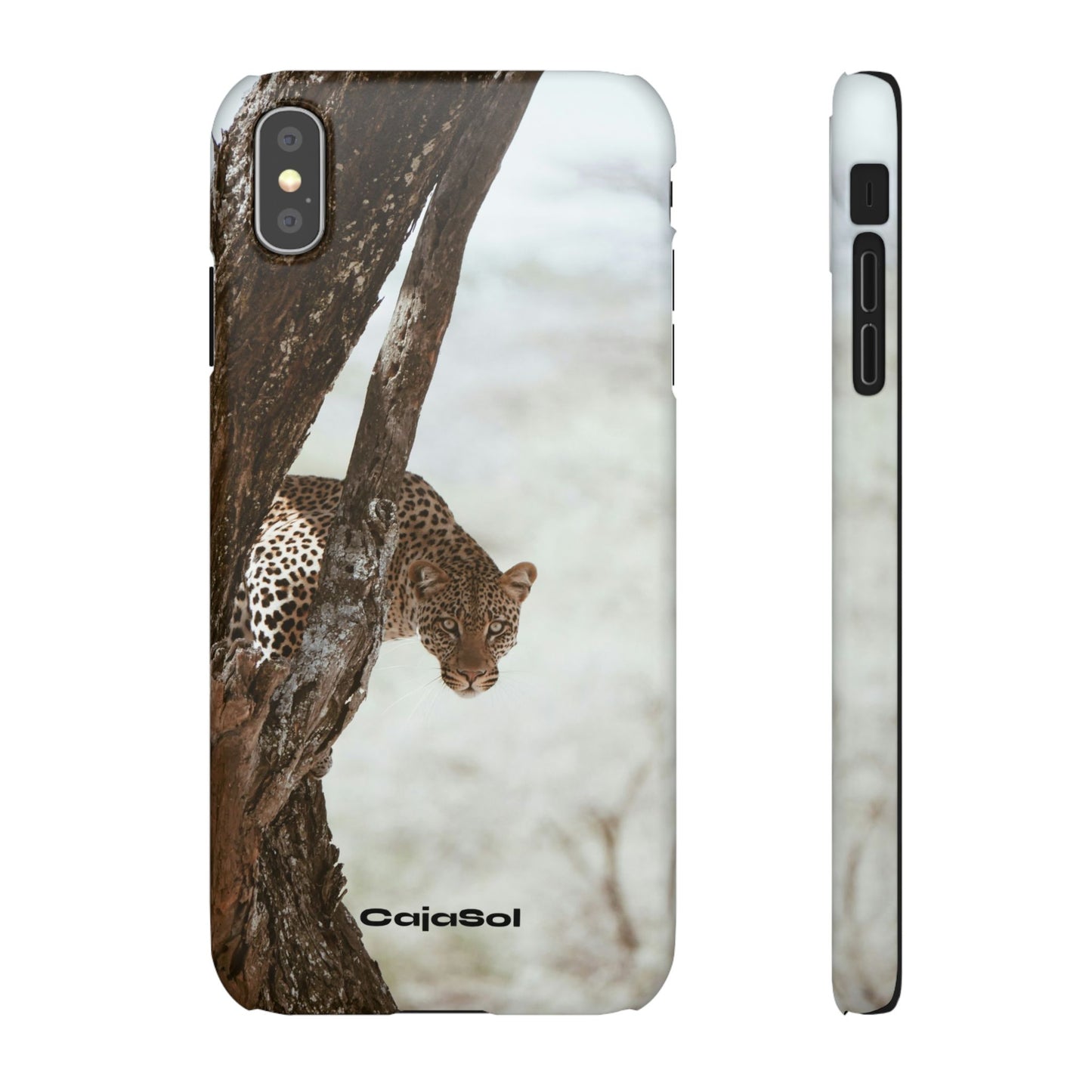 Leopard Cajasol - Wildlife Vibes