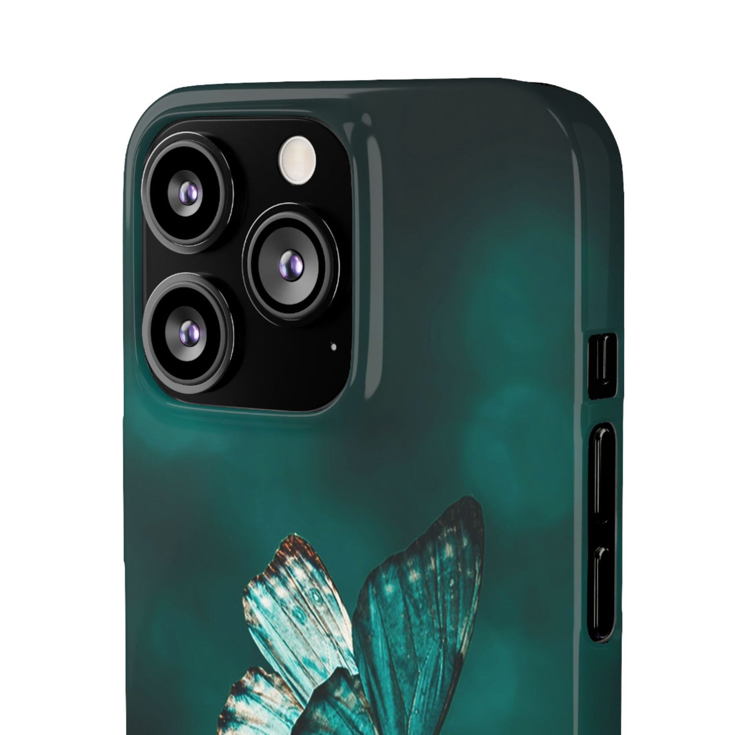Butterfly Cajasol - Perfect for Nature Lovers