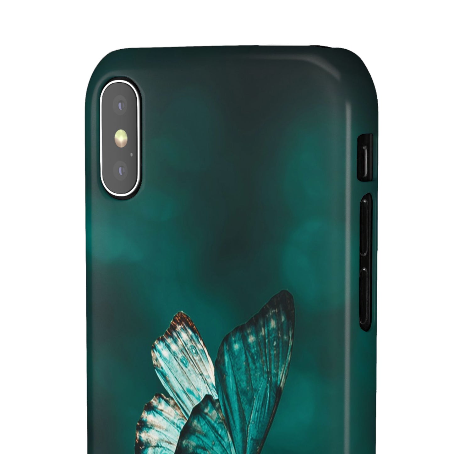Butterfly Cajasol - Perfect for Nature Lovers