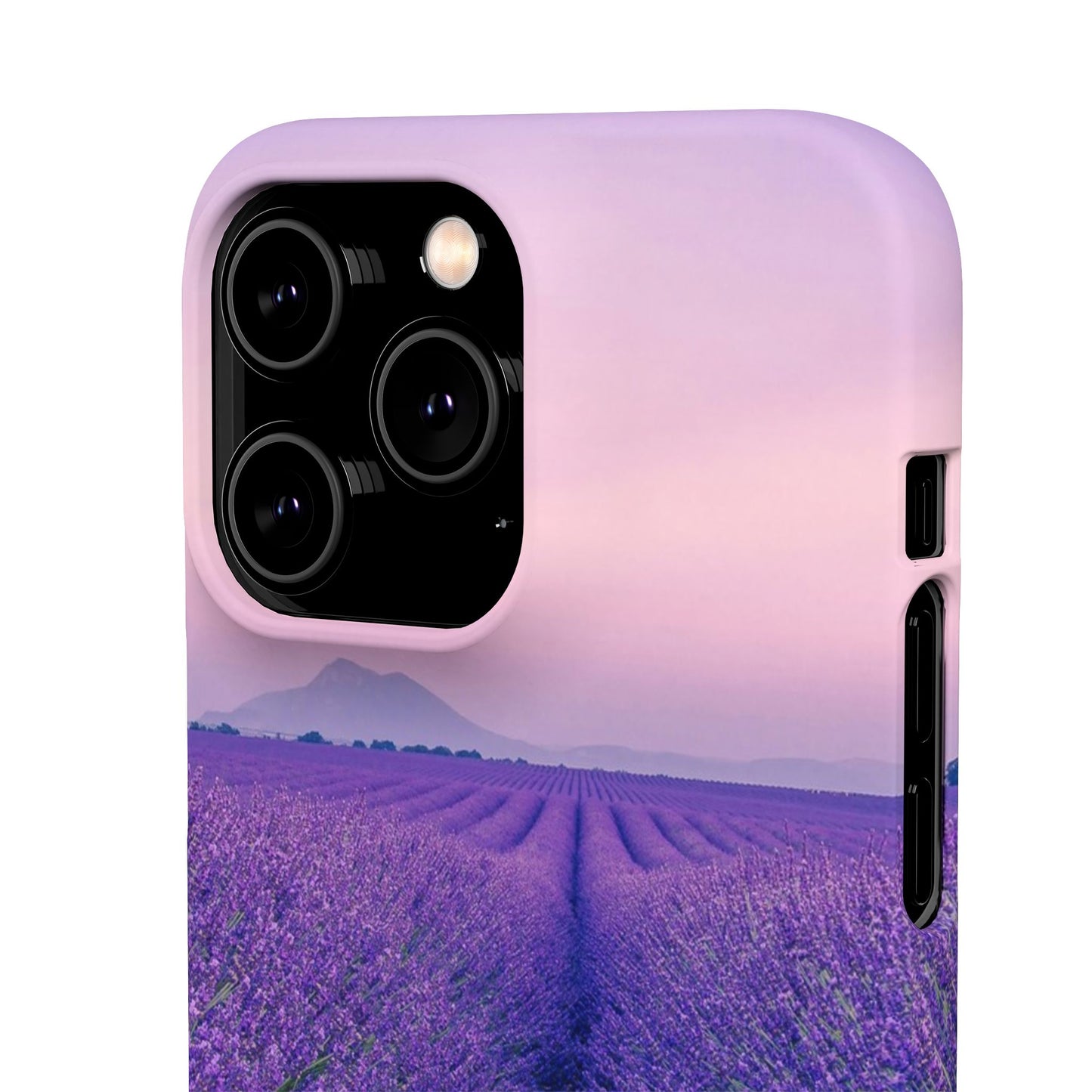 Lavender Fields Cajasol - A Floral Touch for Nature Lovers