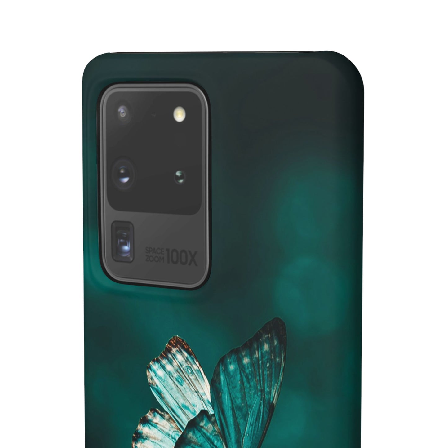 Butterfly Cajasol - Perfect for Nature Lovers