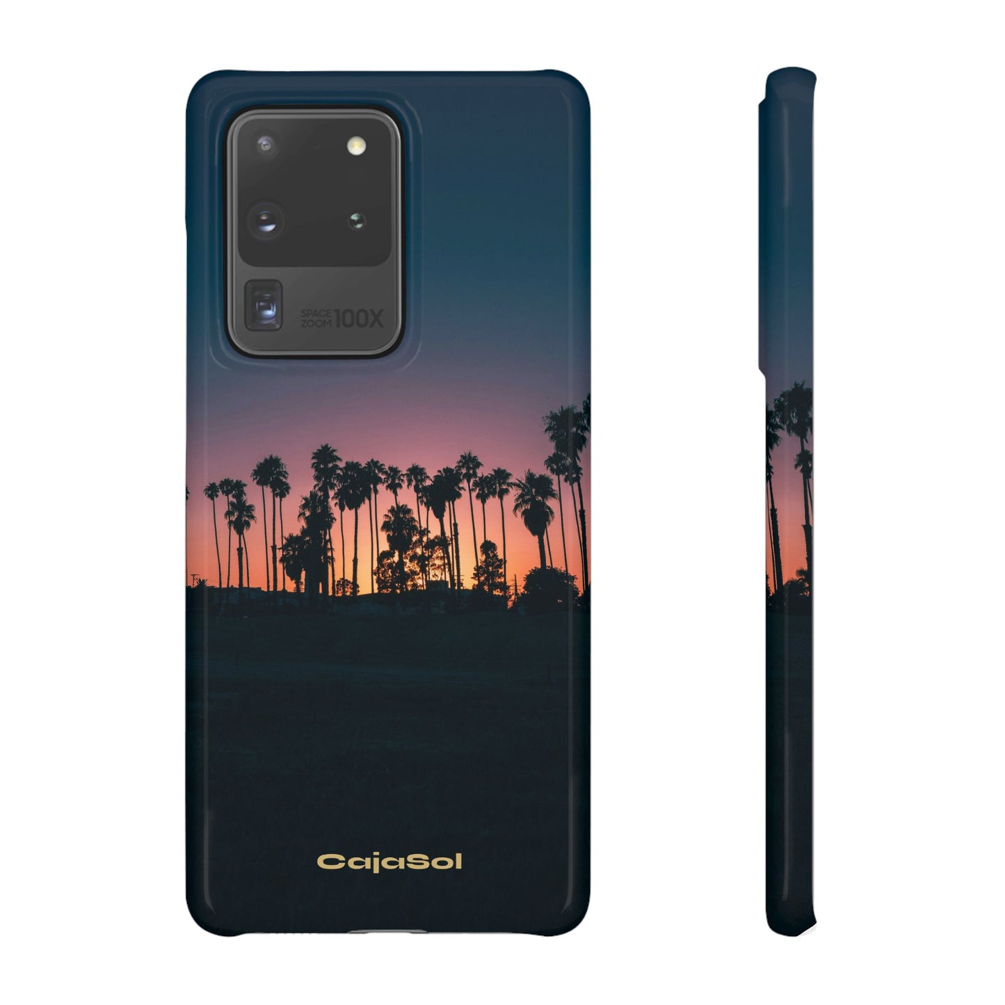 Tropical Sunset Cajasol - Vibrant Palm Tree