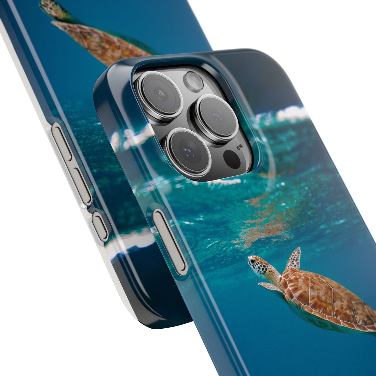 Sea Turtle Cajasol - Perfect for Beach Lovers