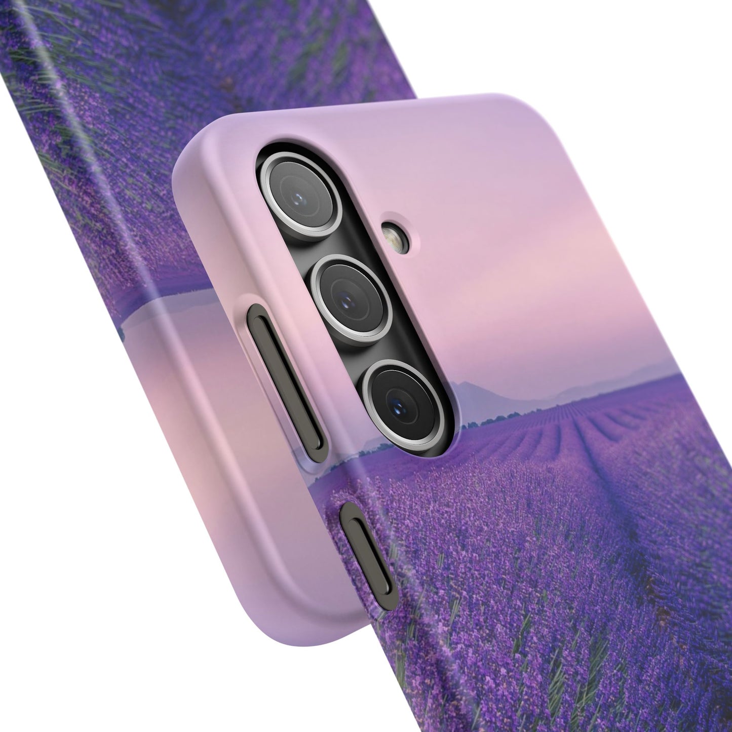 Lavender Fields Cajasol - A Floral Touch for Nature Lovers