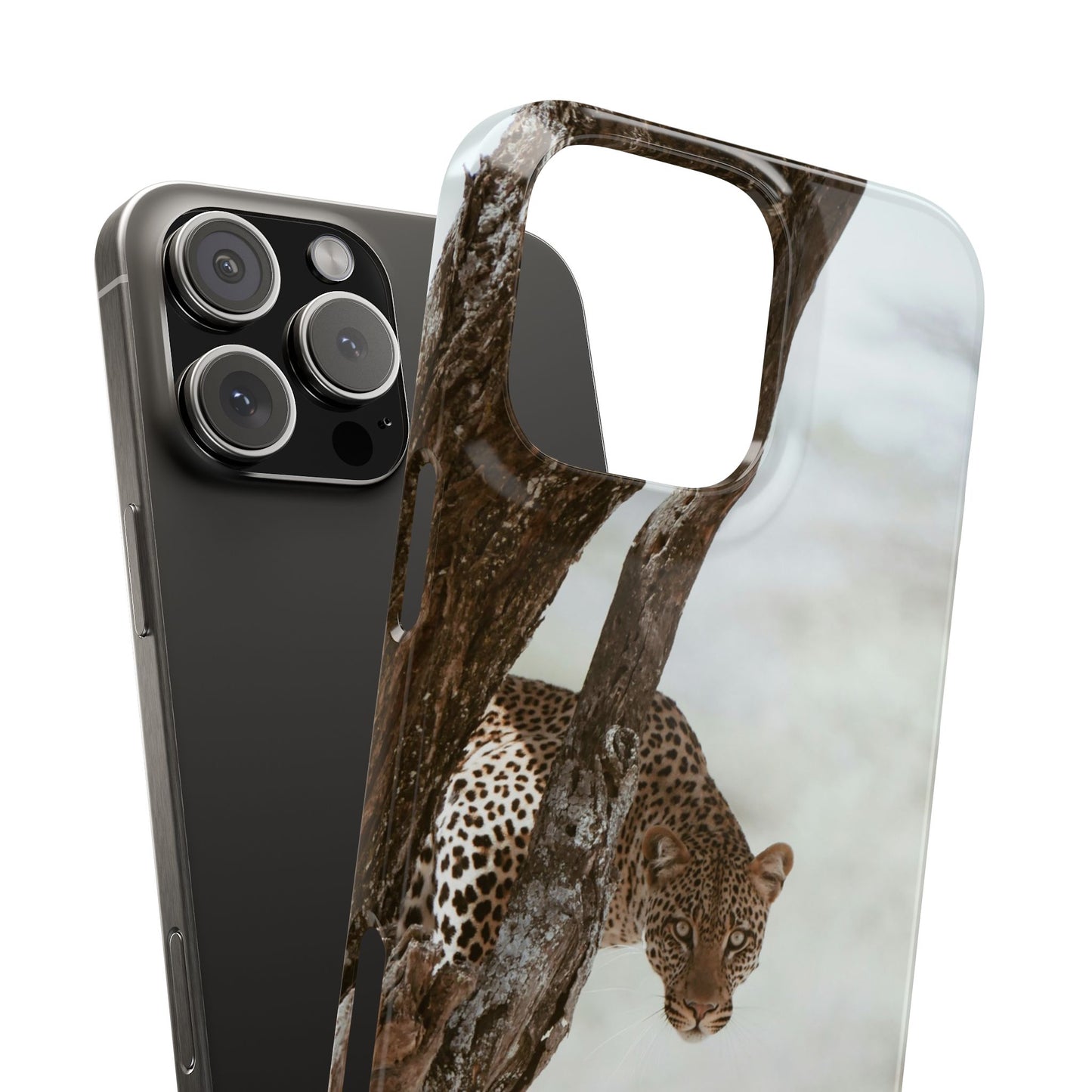 Leopard Cajasol - Wildlife Vibes