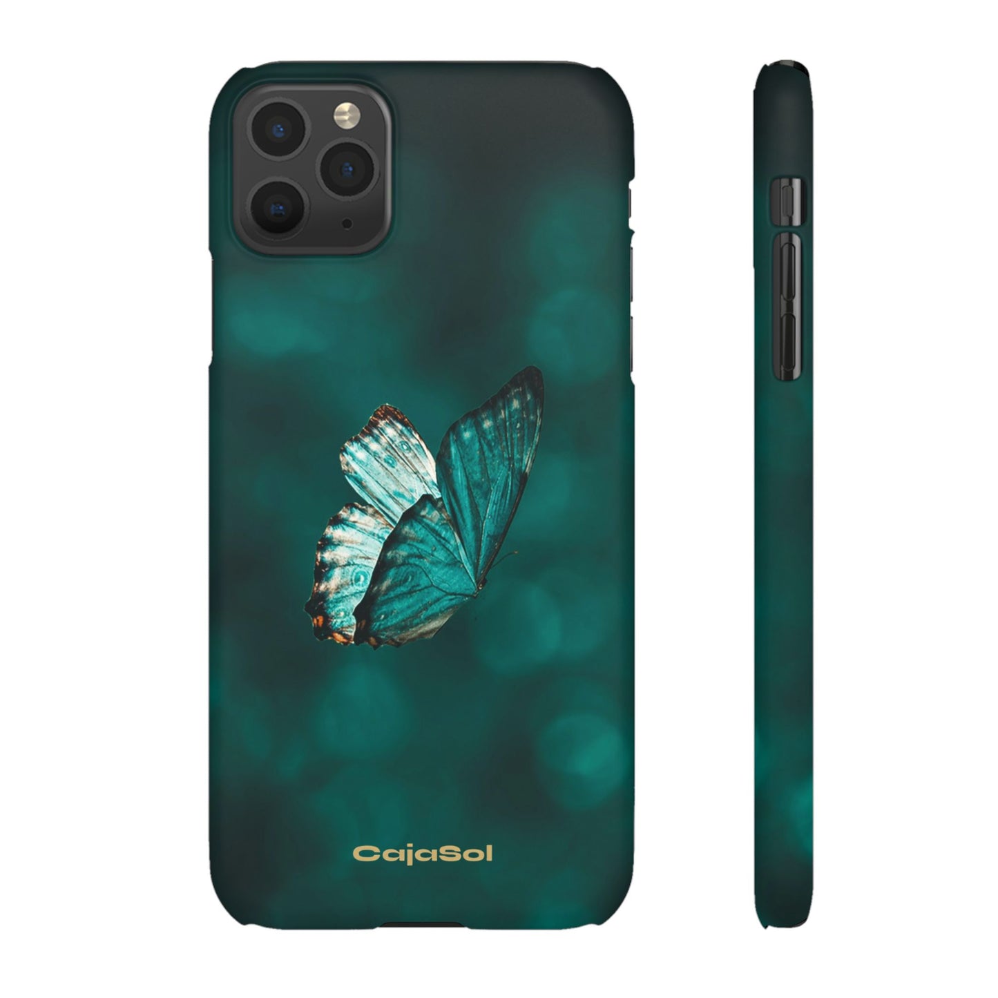 Butterfly Cajasol - Perfect for Nature Lovers