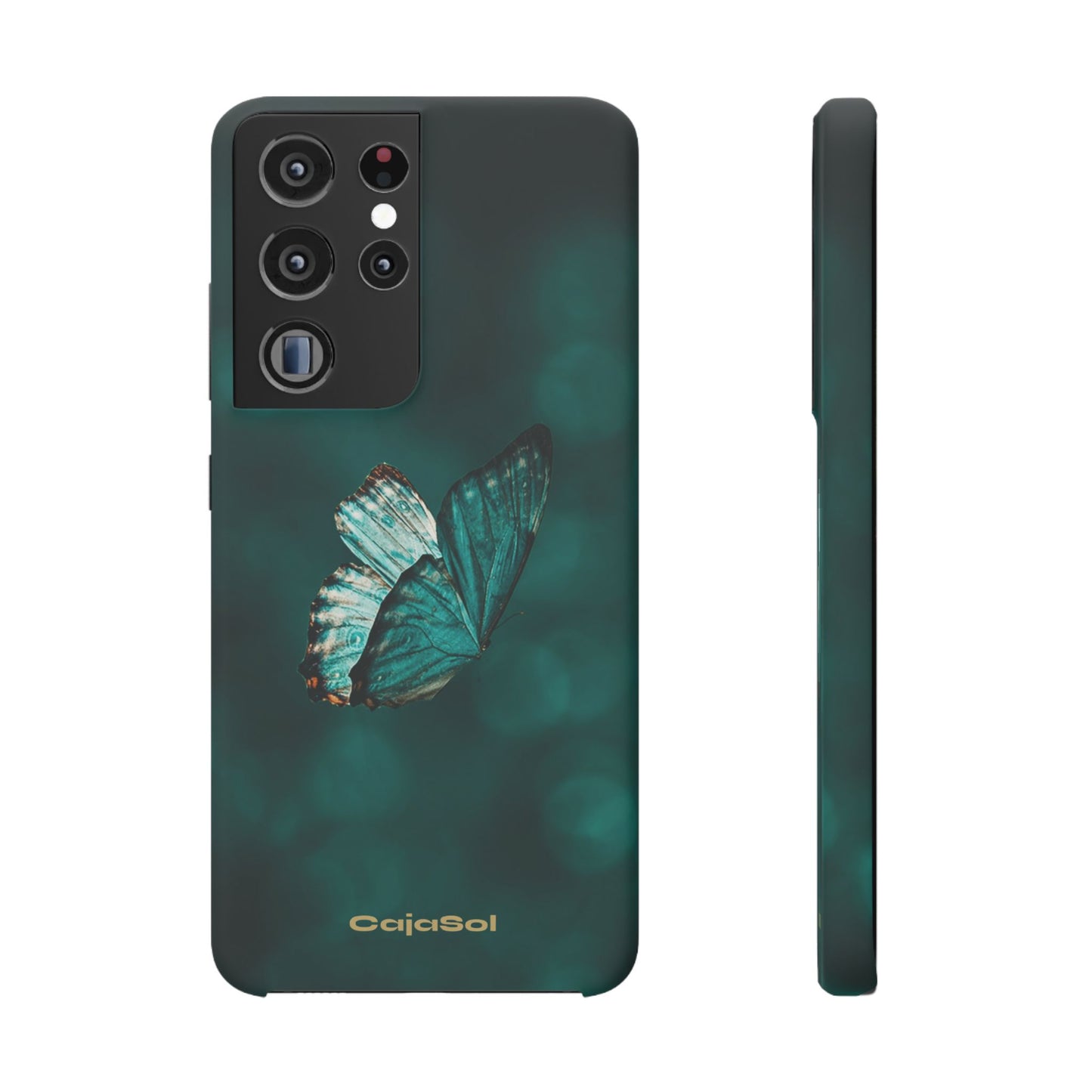 Butterfly Cajasol - Perfect for Nature Lovers