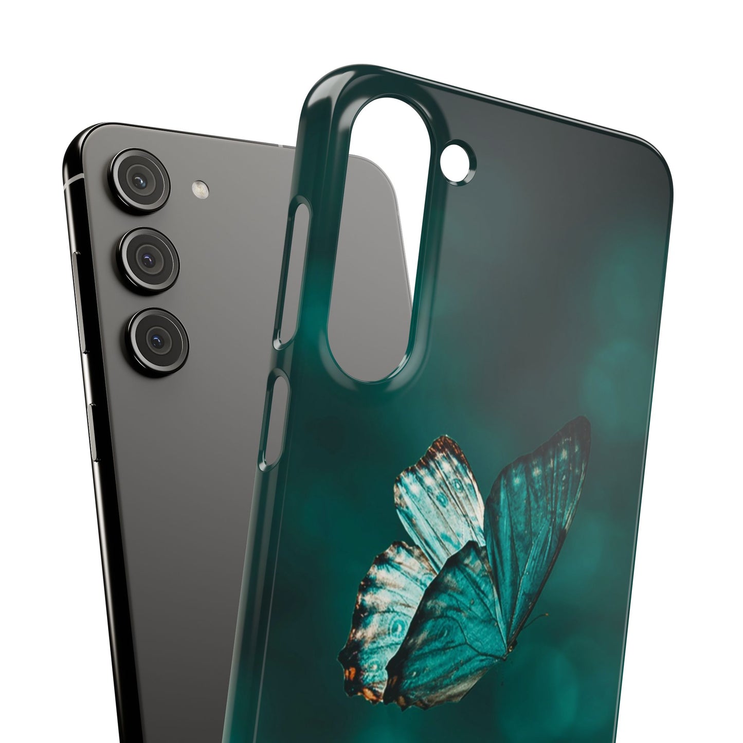 Butterfly Cajasol - Perfect for Nature Lovers