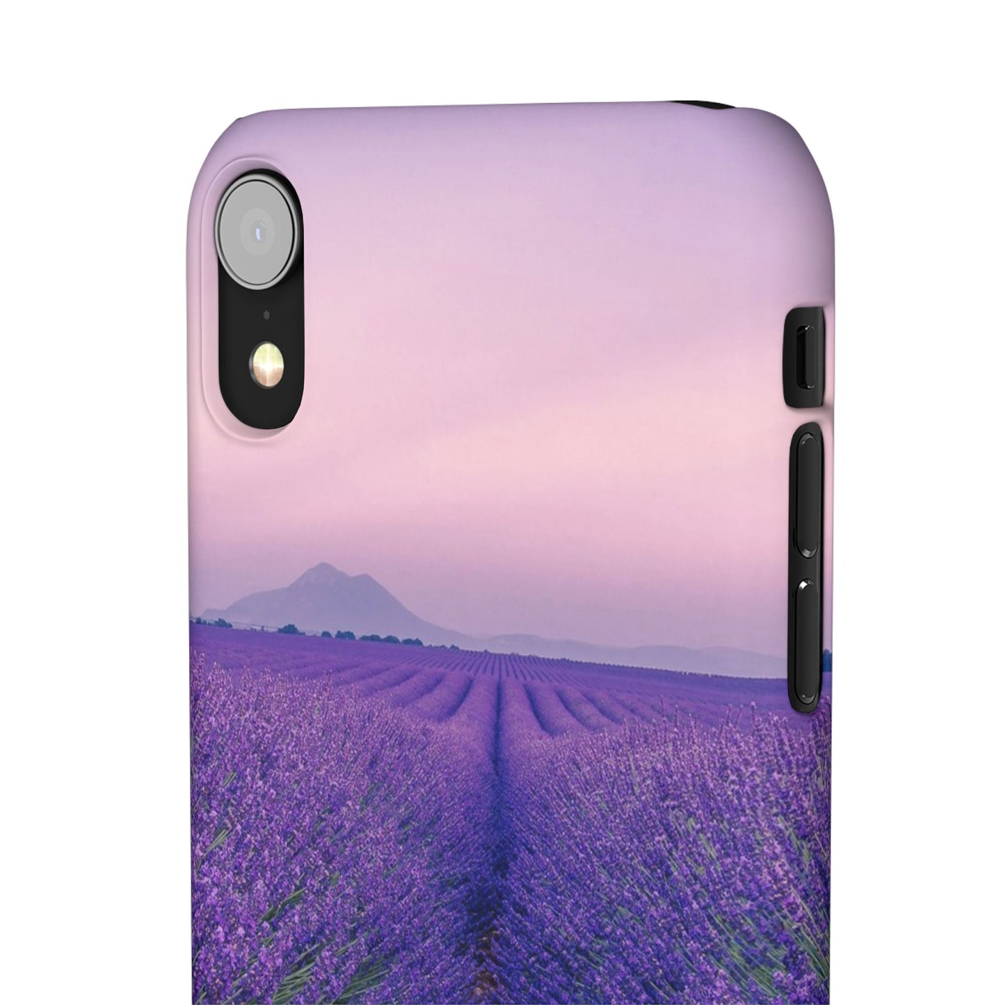 Lavender Fields Cajasol - A Floral Touch for Nature Lovers