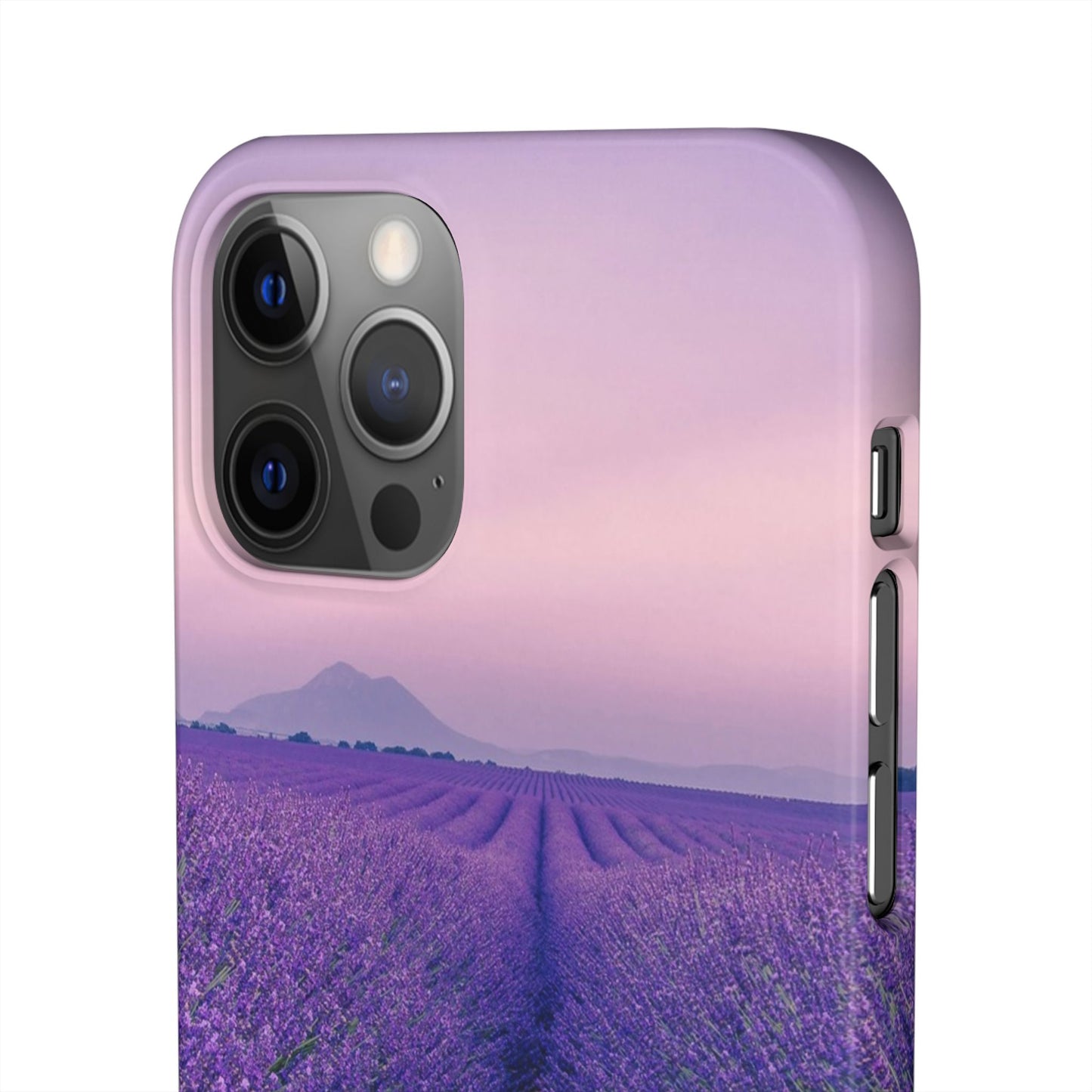 Lavender Fields Cajasol - A Floral Touch for Nature Lovers