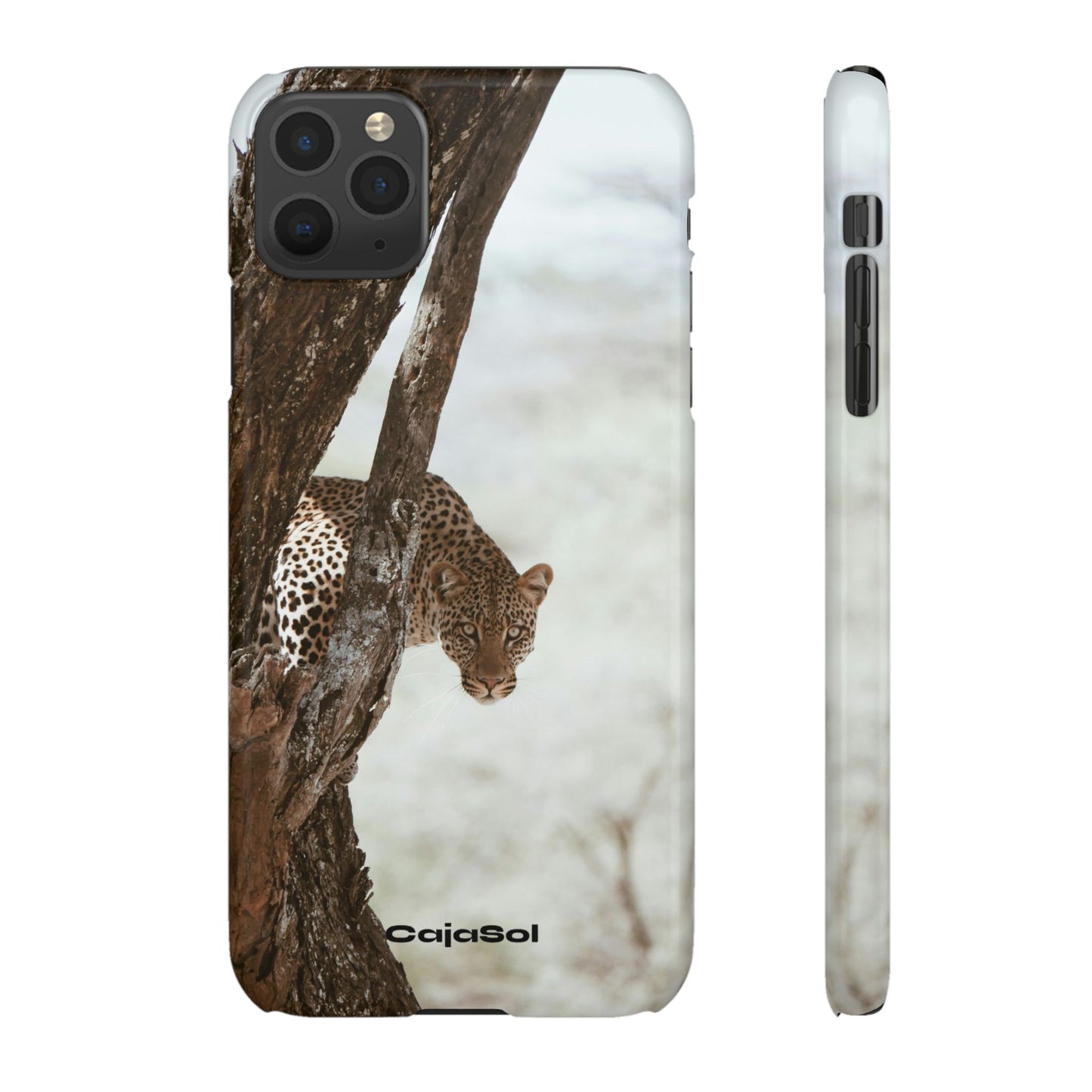 Leopard Cajasol - Wildlife Vibes
