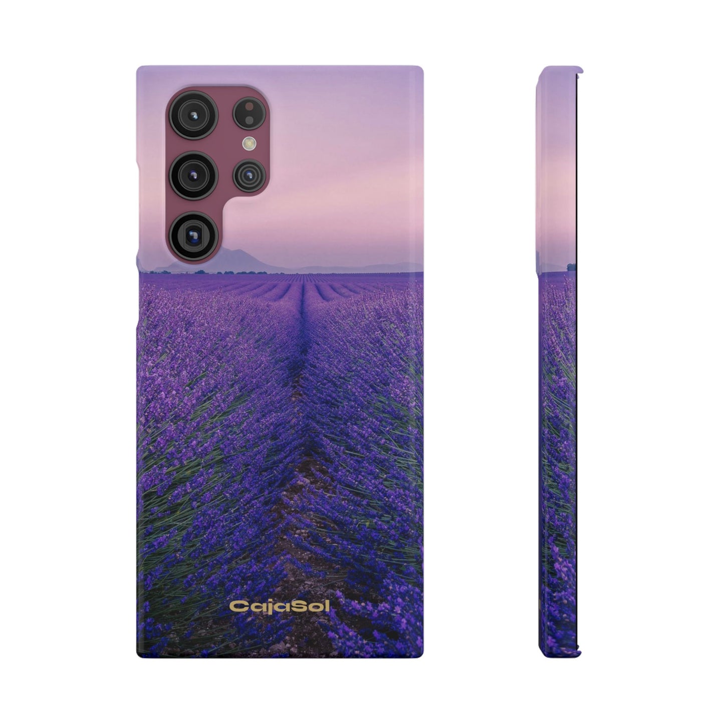 Lavender Fields Cajasol - A Floral Touch for Nature Lovers