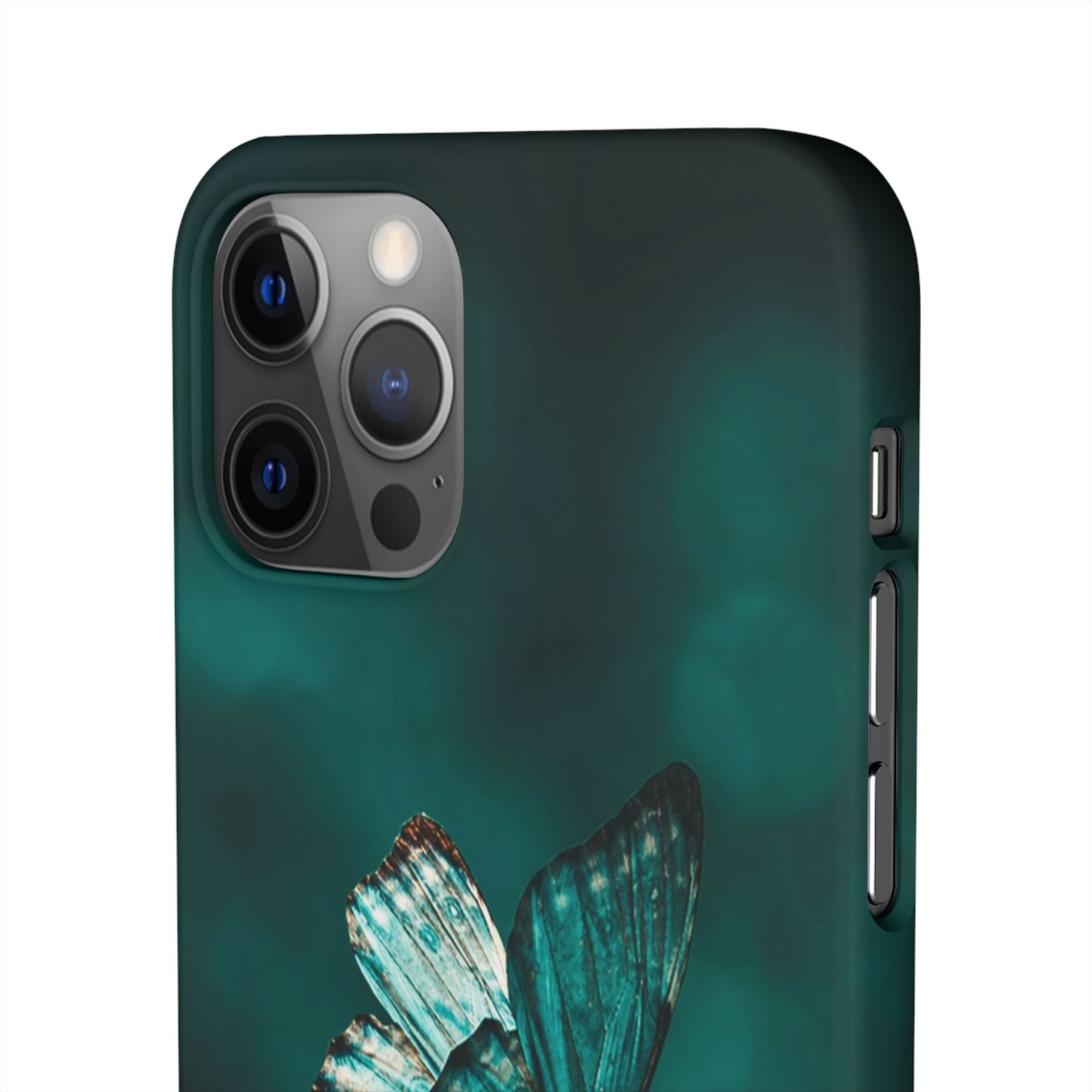 Butterfly Cajasol - Perfect for Nature Lovers